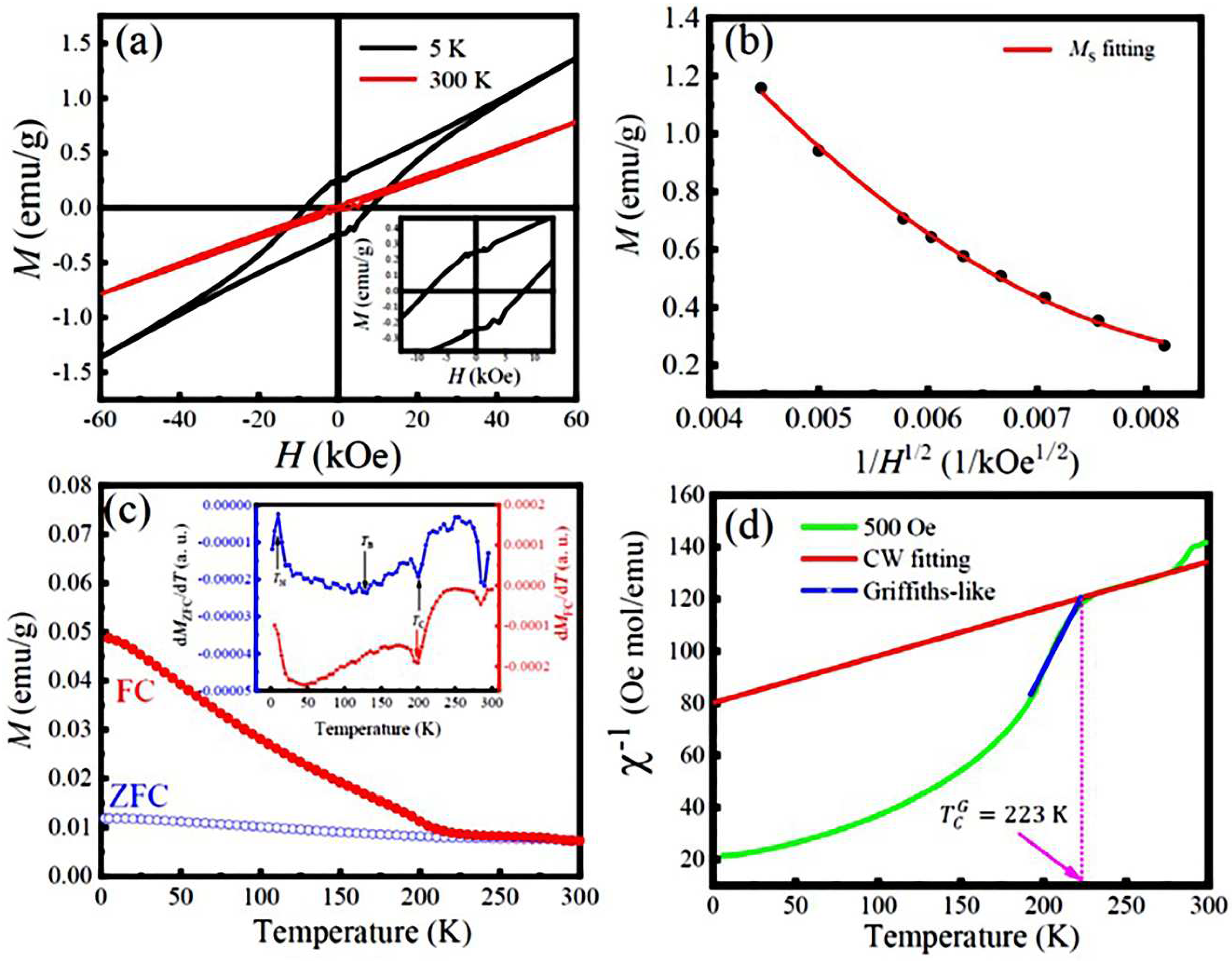 Preprints 91150 g005