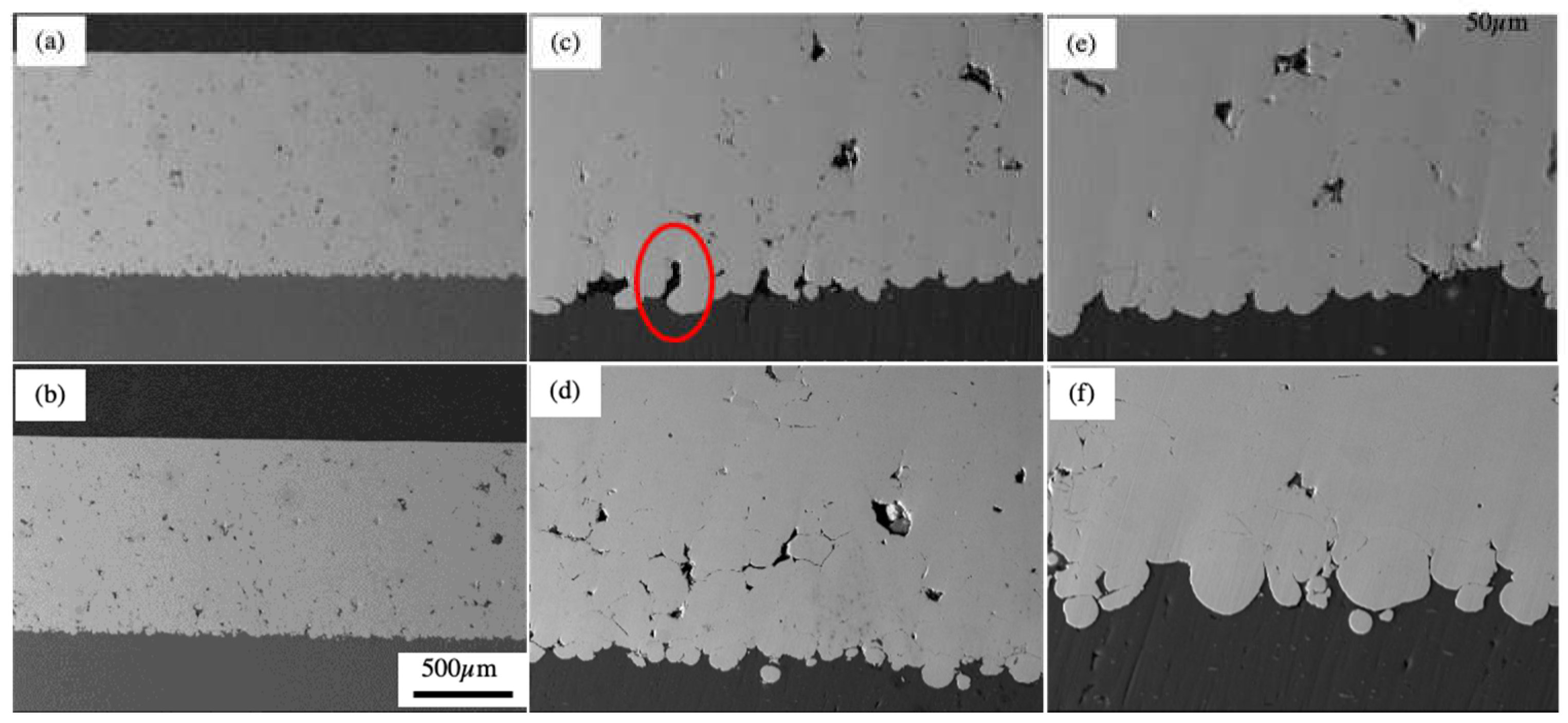 Preprints 67025 g011