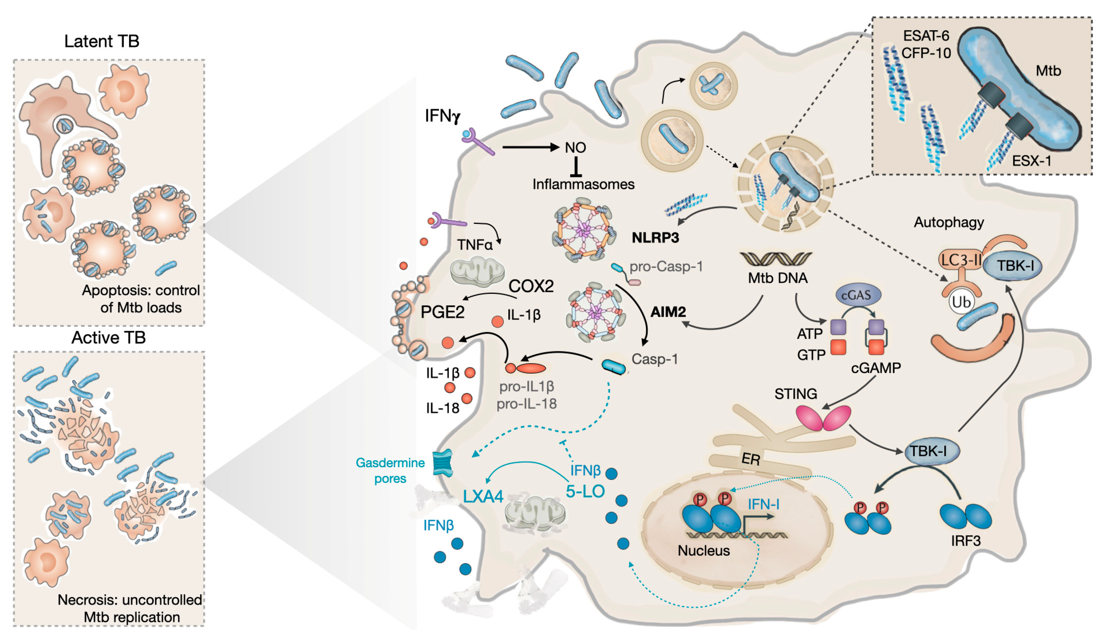 Preprints 73552 g002
