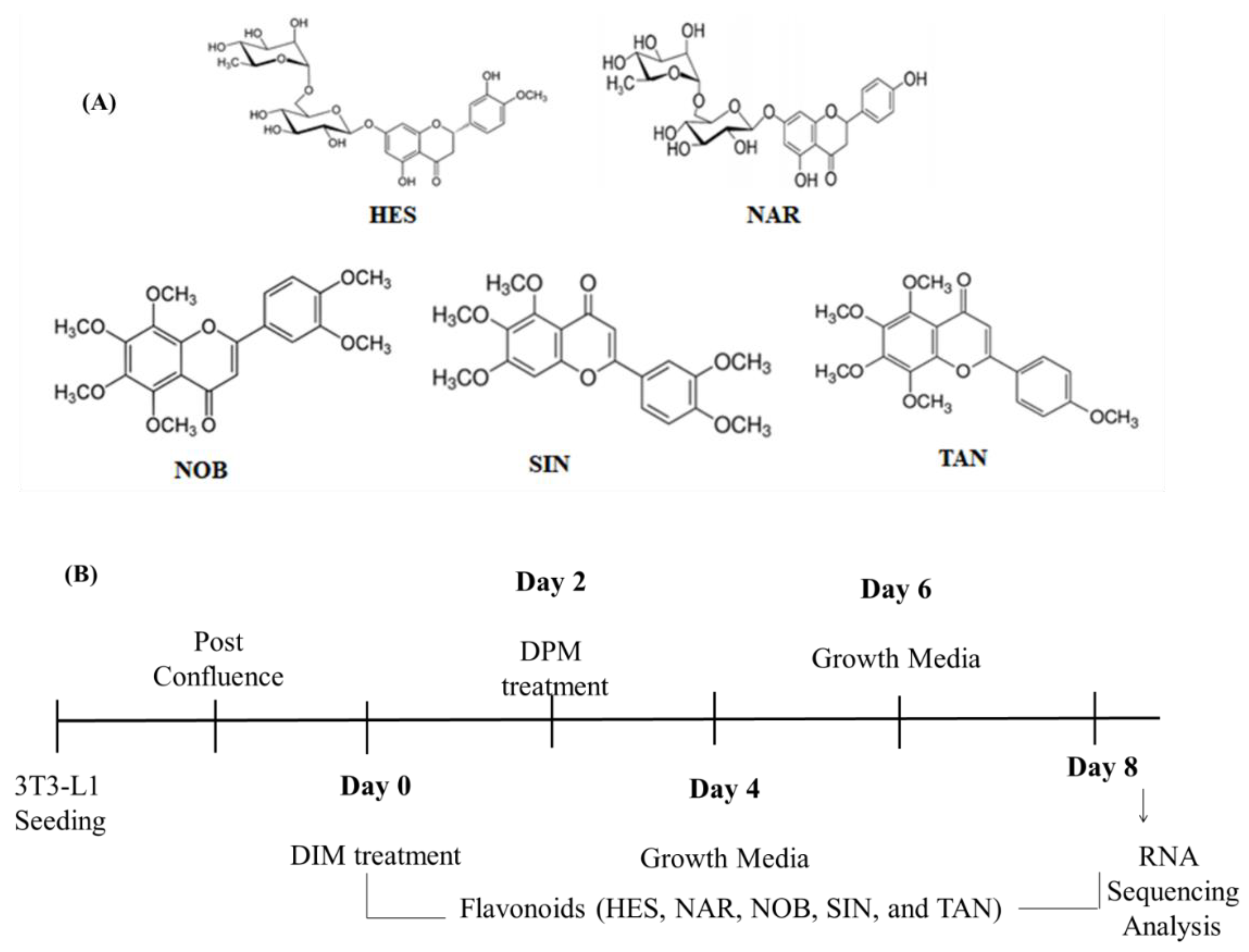 Preprints 157697 g001