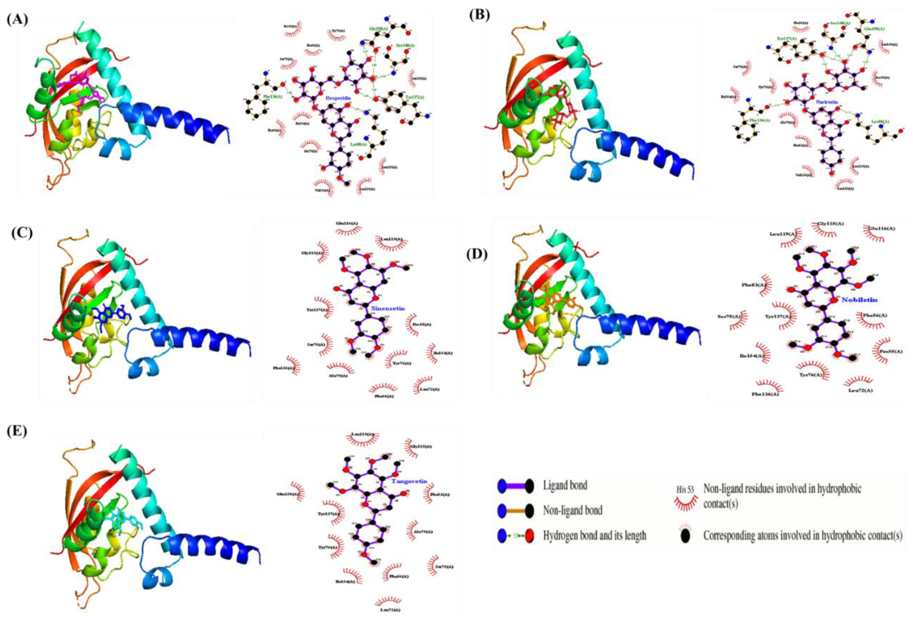 Preprints 157697 g006