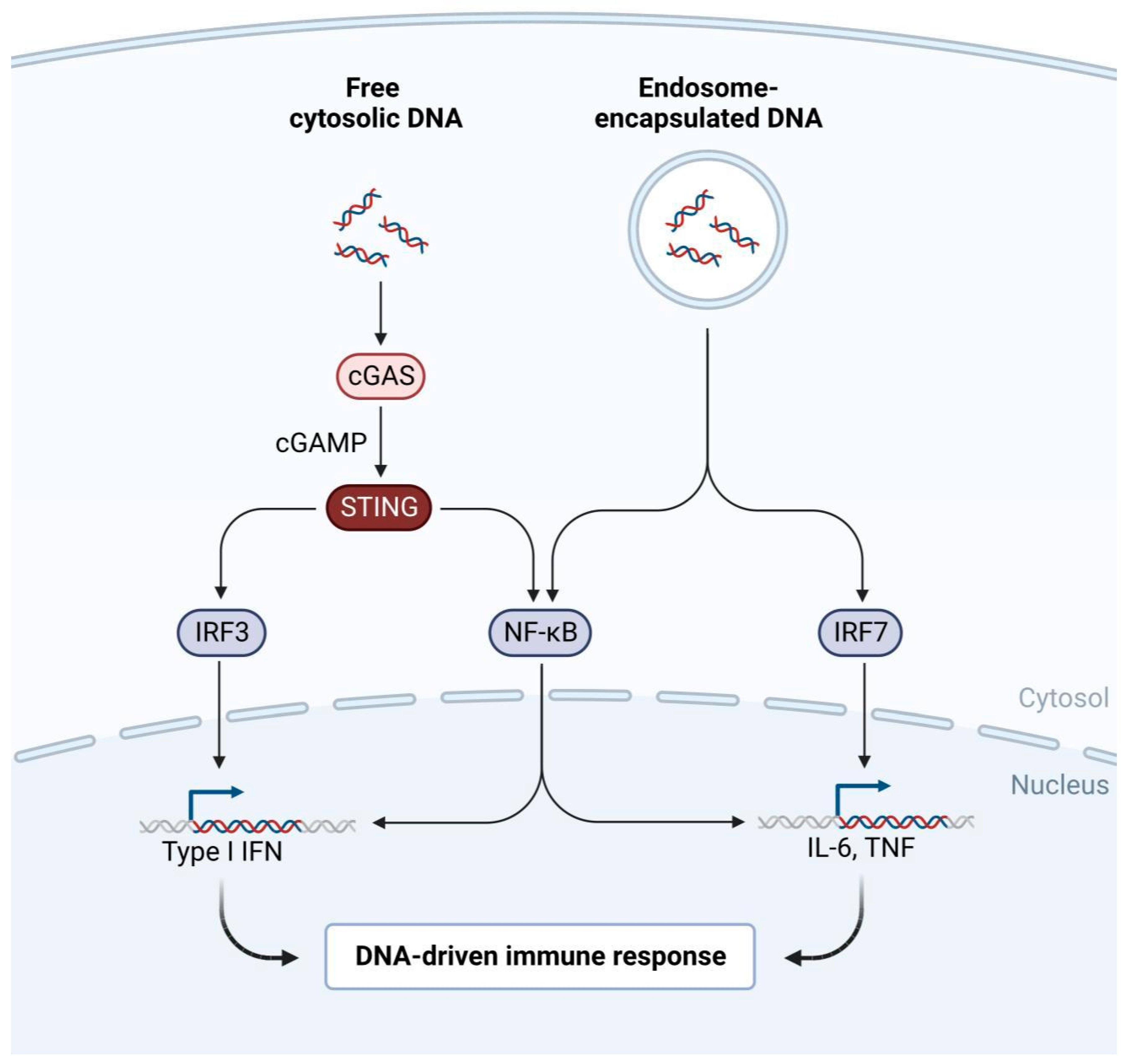 Preprints 201494 g001