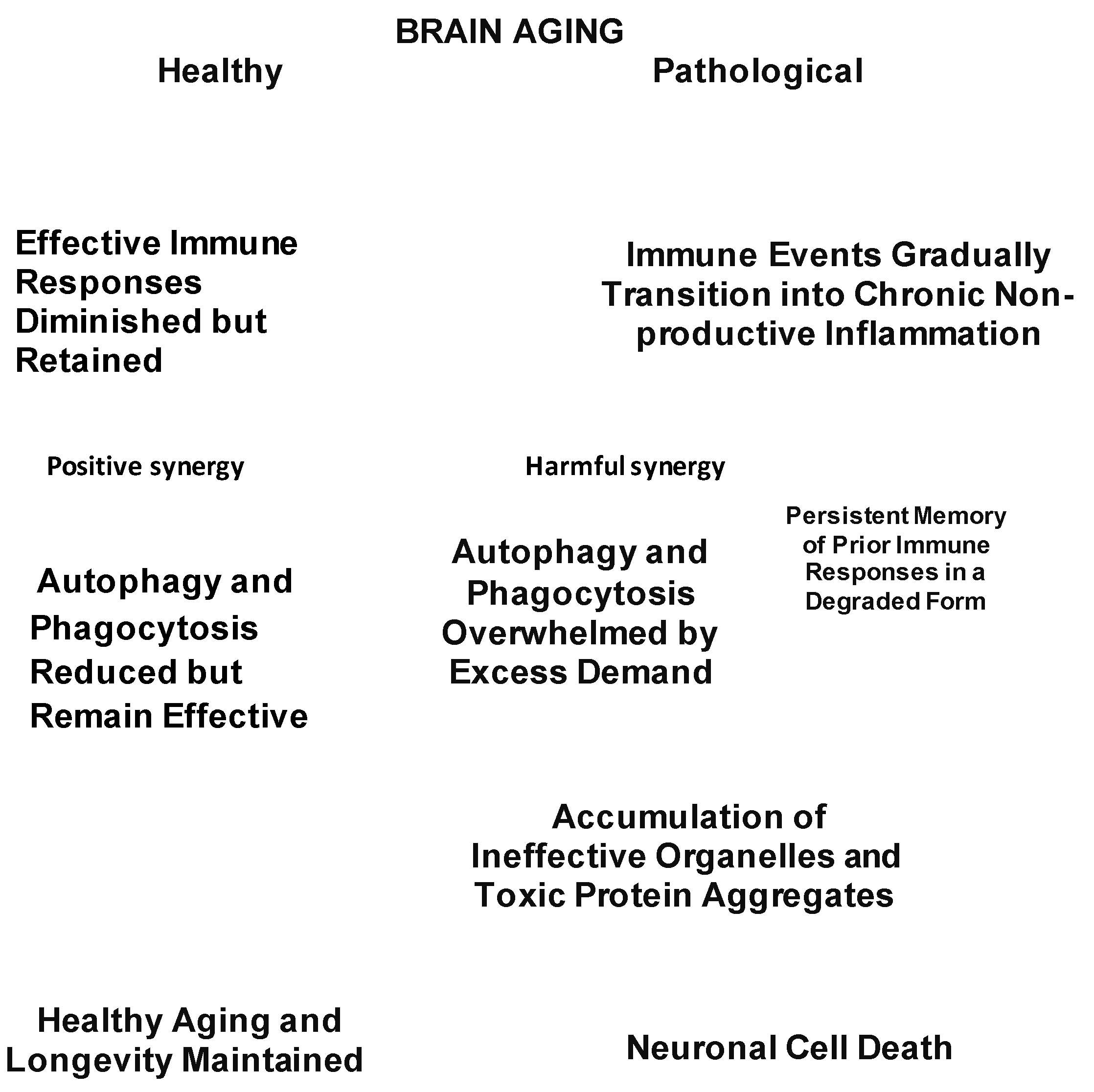 Preprints 142407 g003