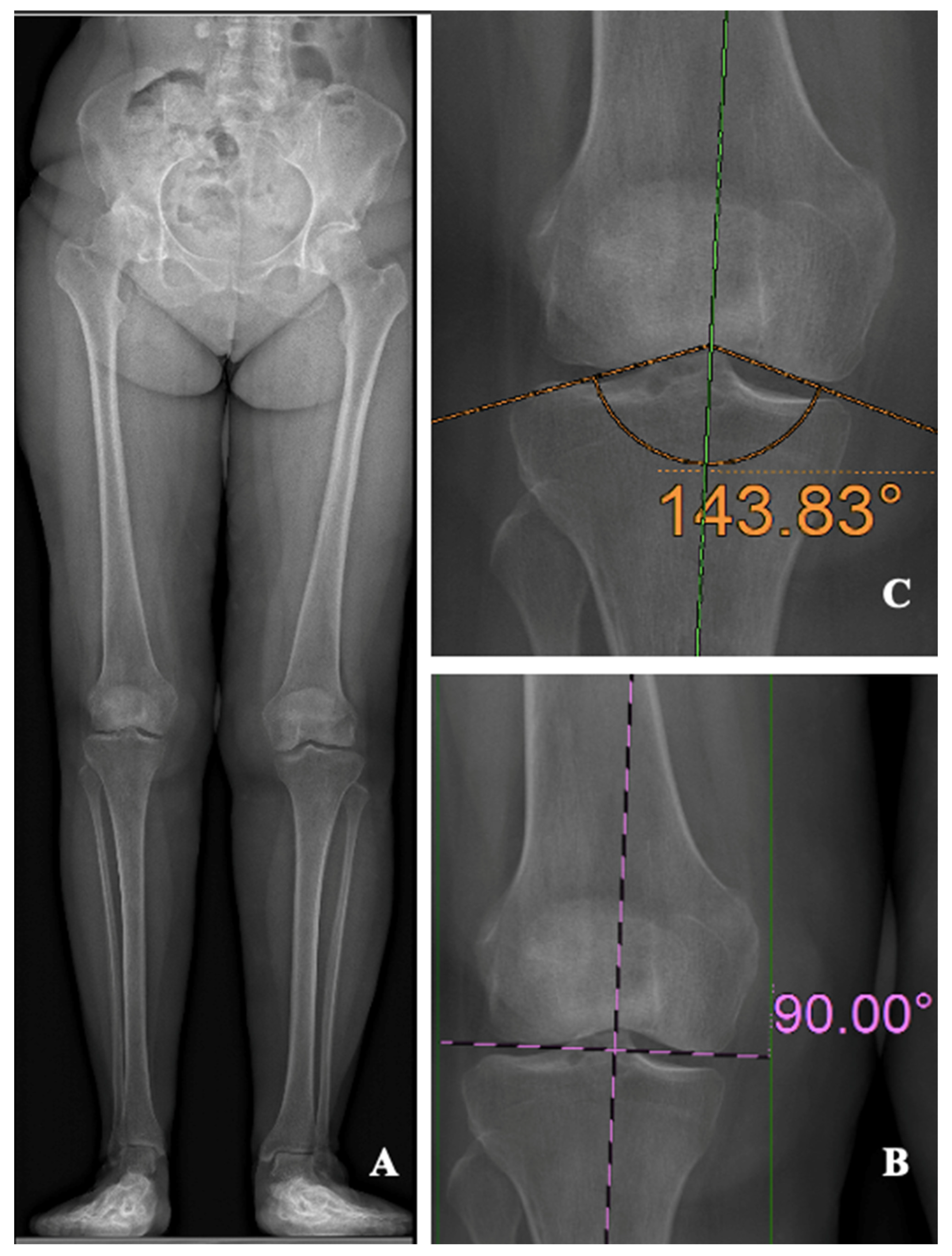 Preprints 75703 g001