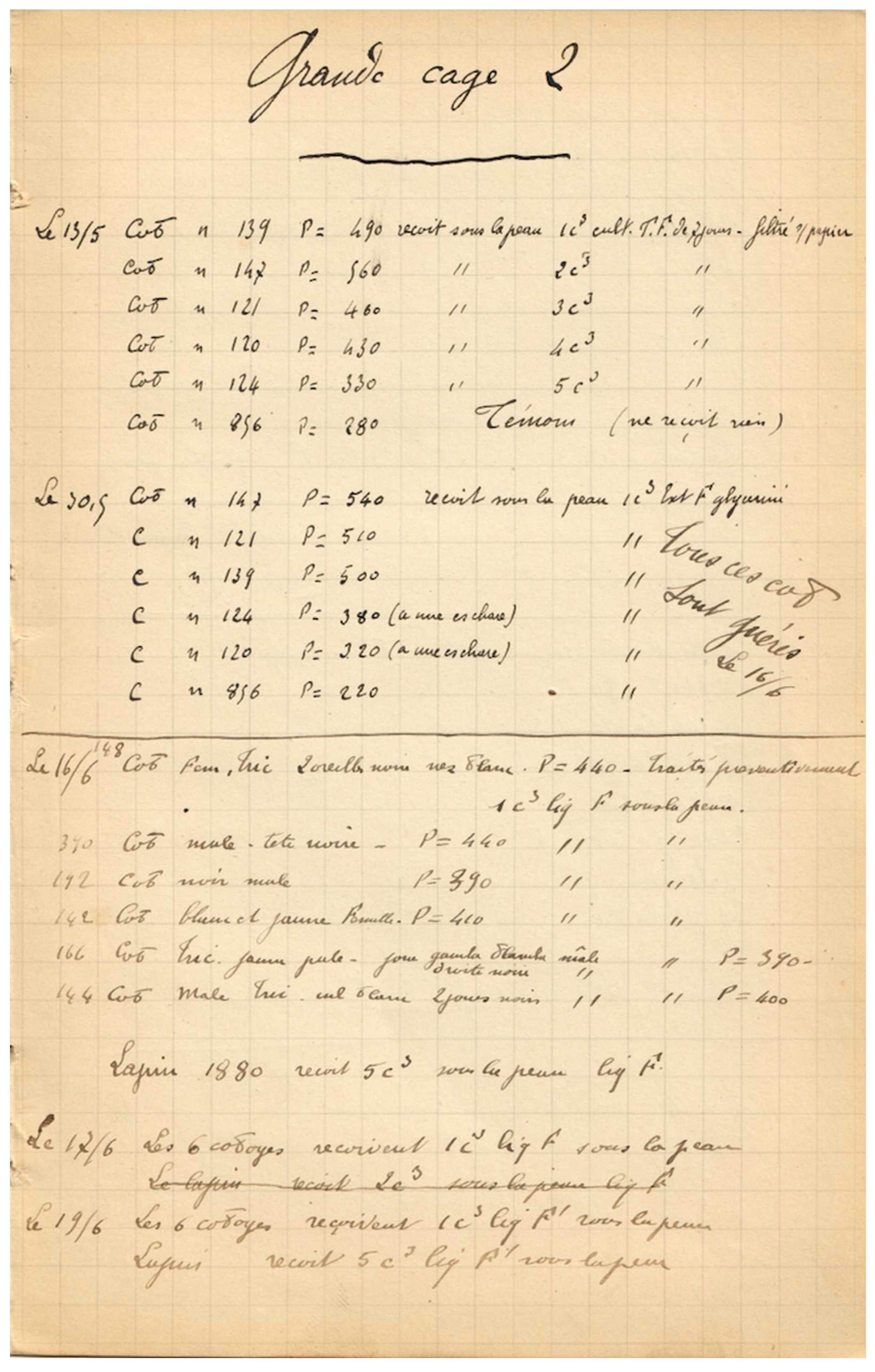 Preprints 198639 g008