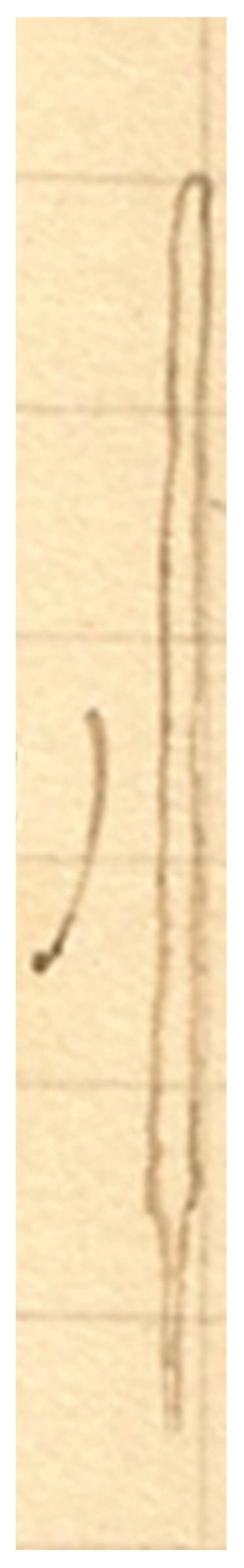 Preprints 198639 g010