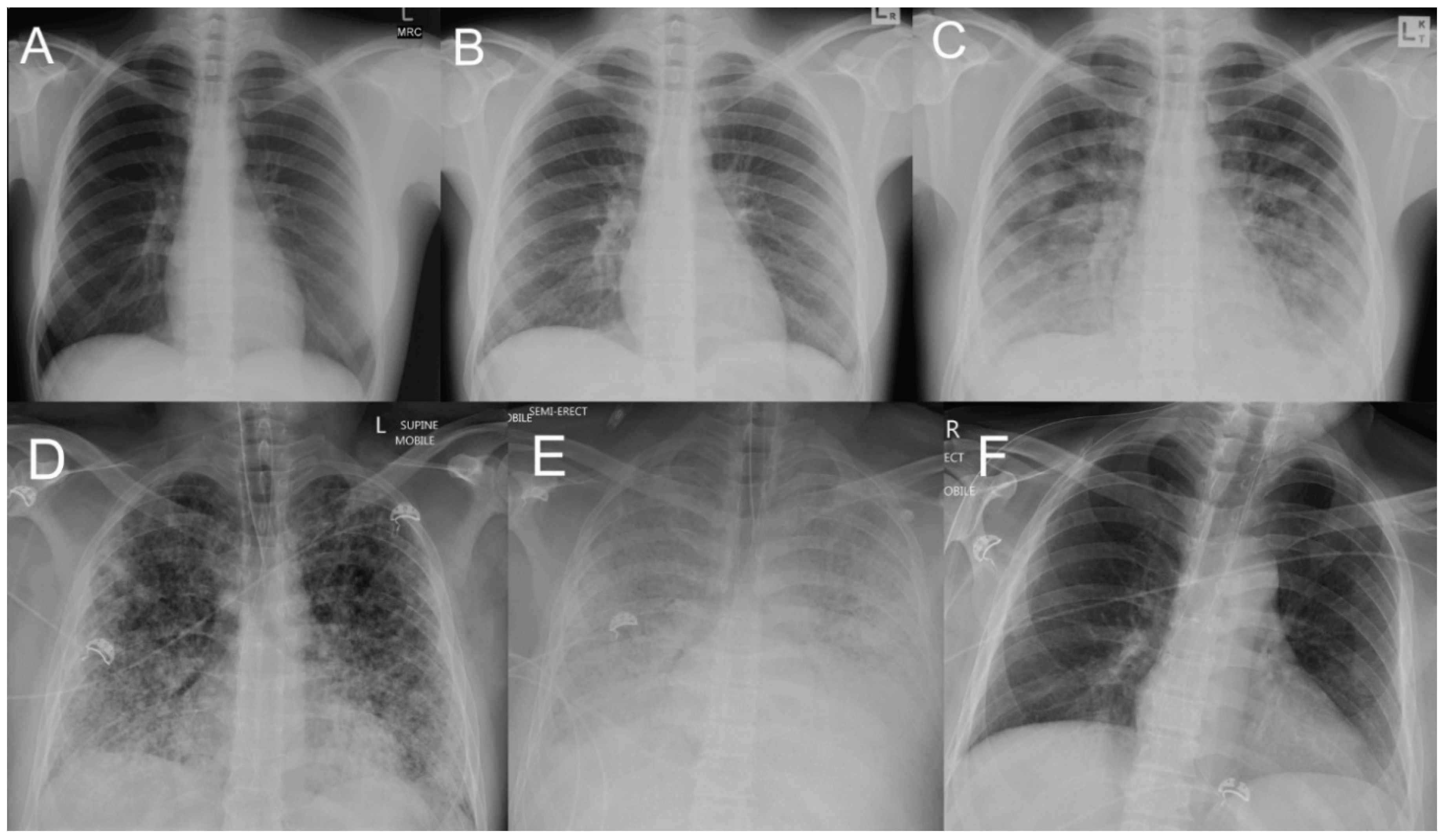 Preprints 182758 g001