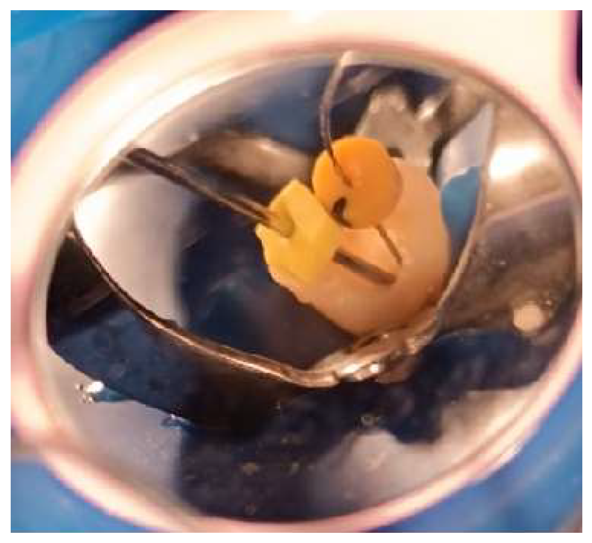 Preprints 177802 g001