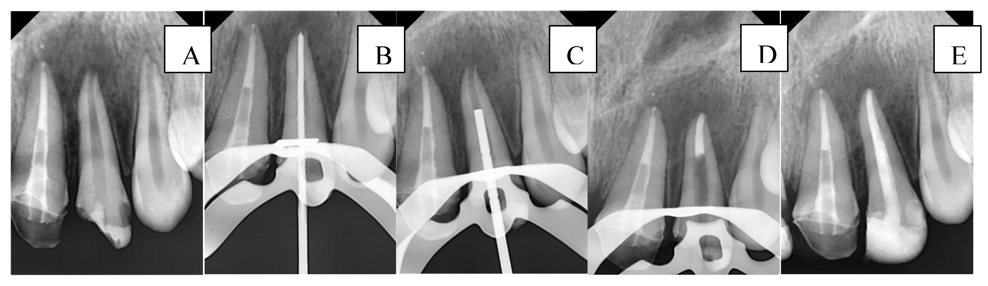Preprints 177802 g002