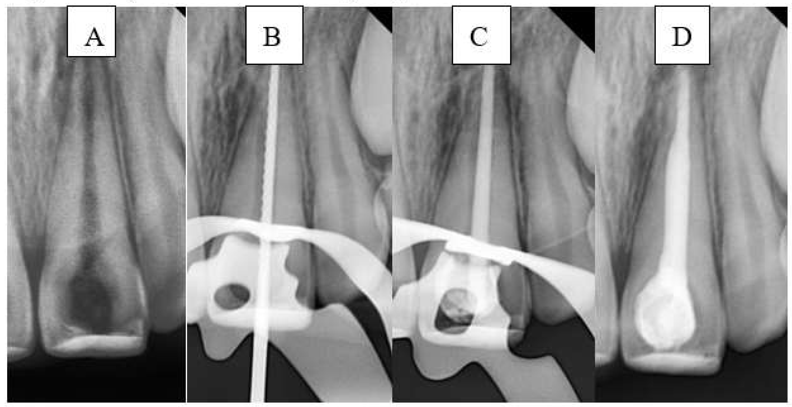 Preprints 177802 g003