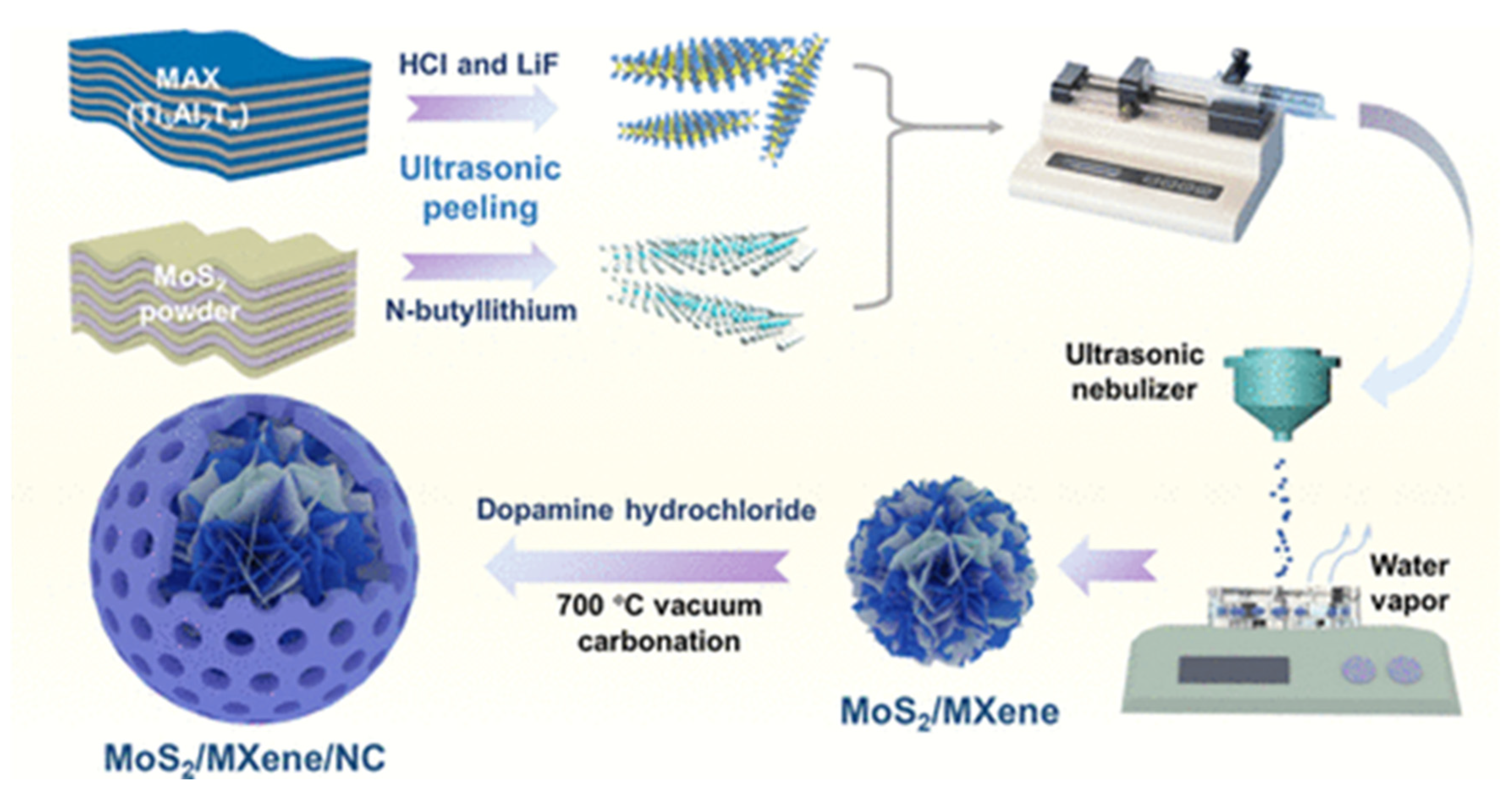 Preprints 149500 g002