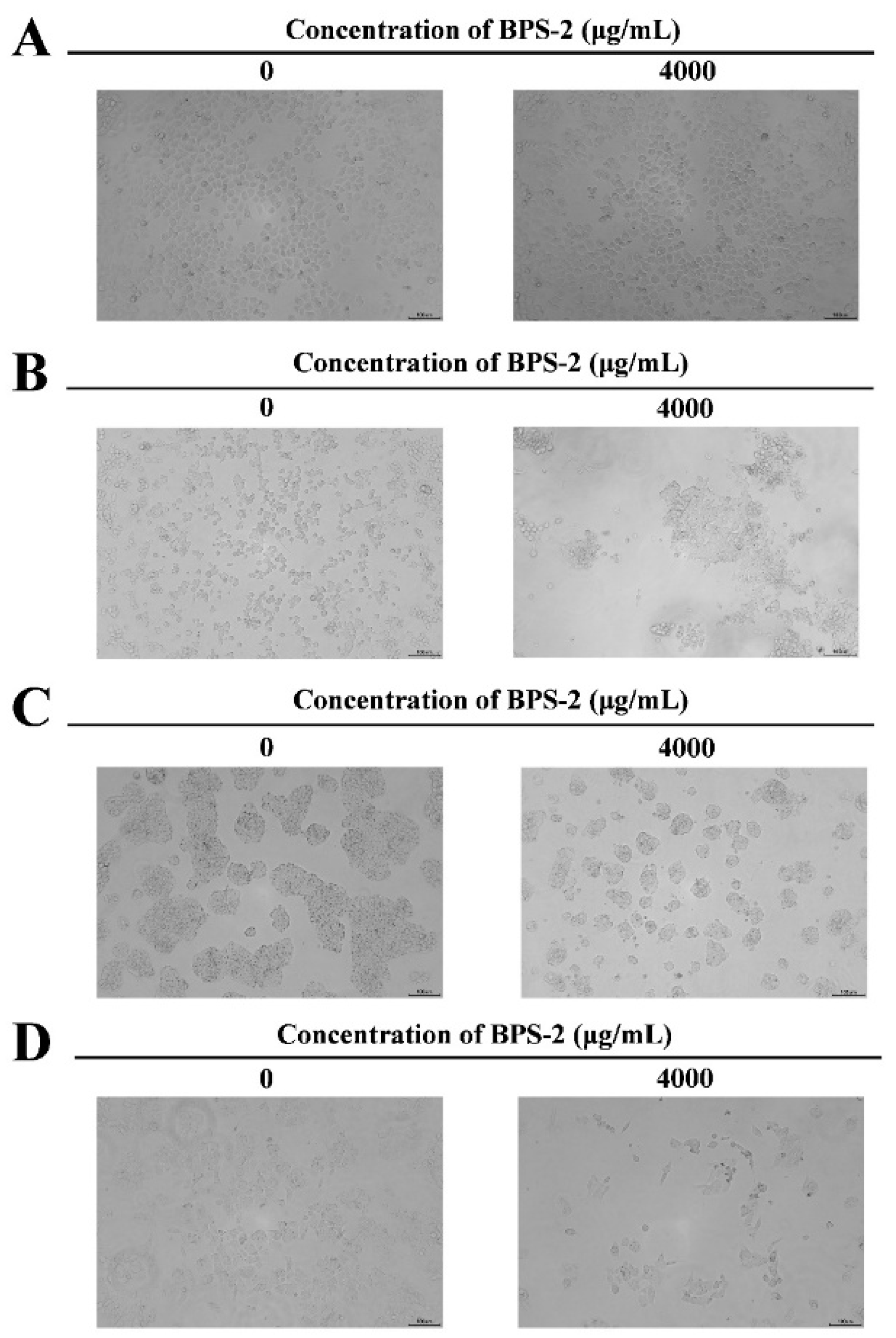 Preprints 144120 g005