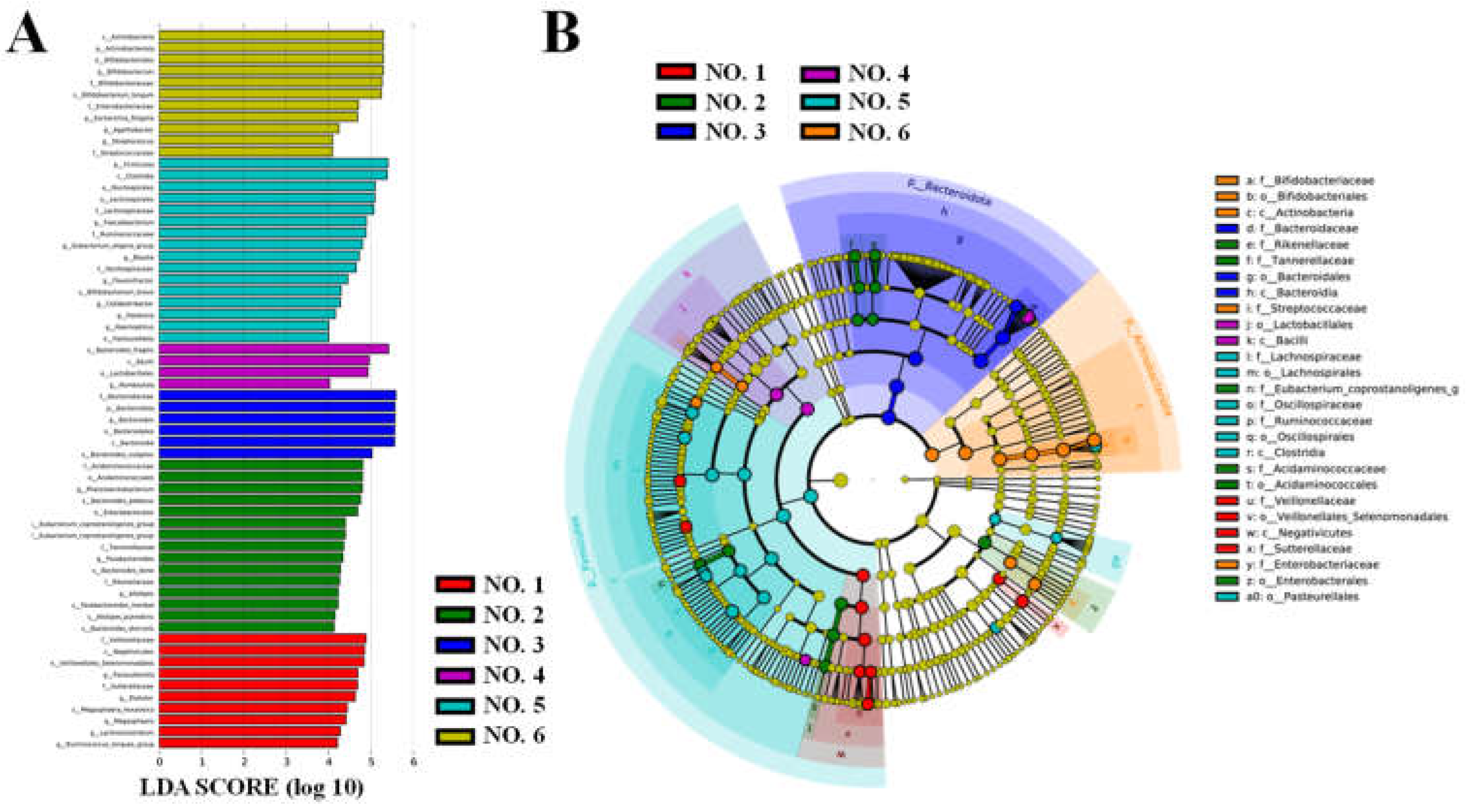 Preprints 144120 g009