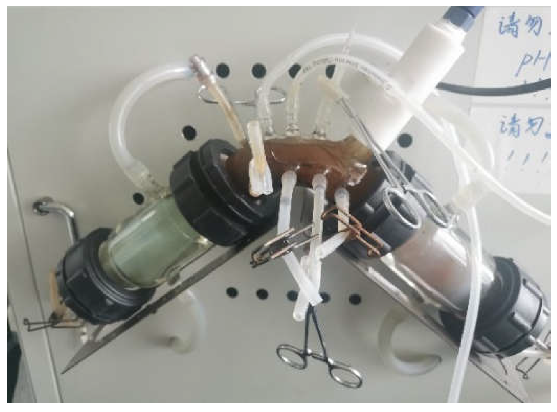 Preprints 144120 g010