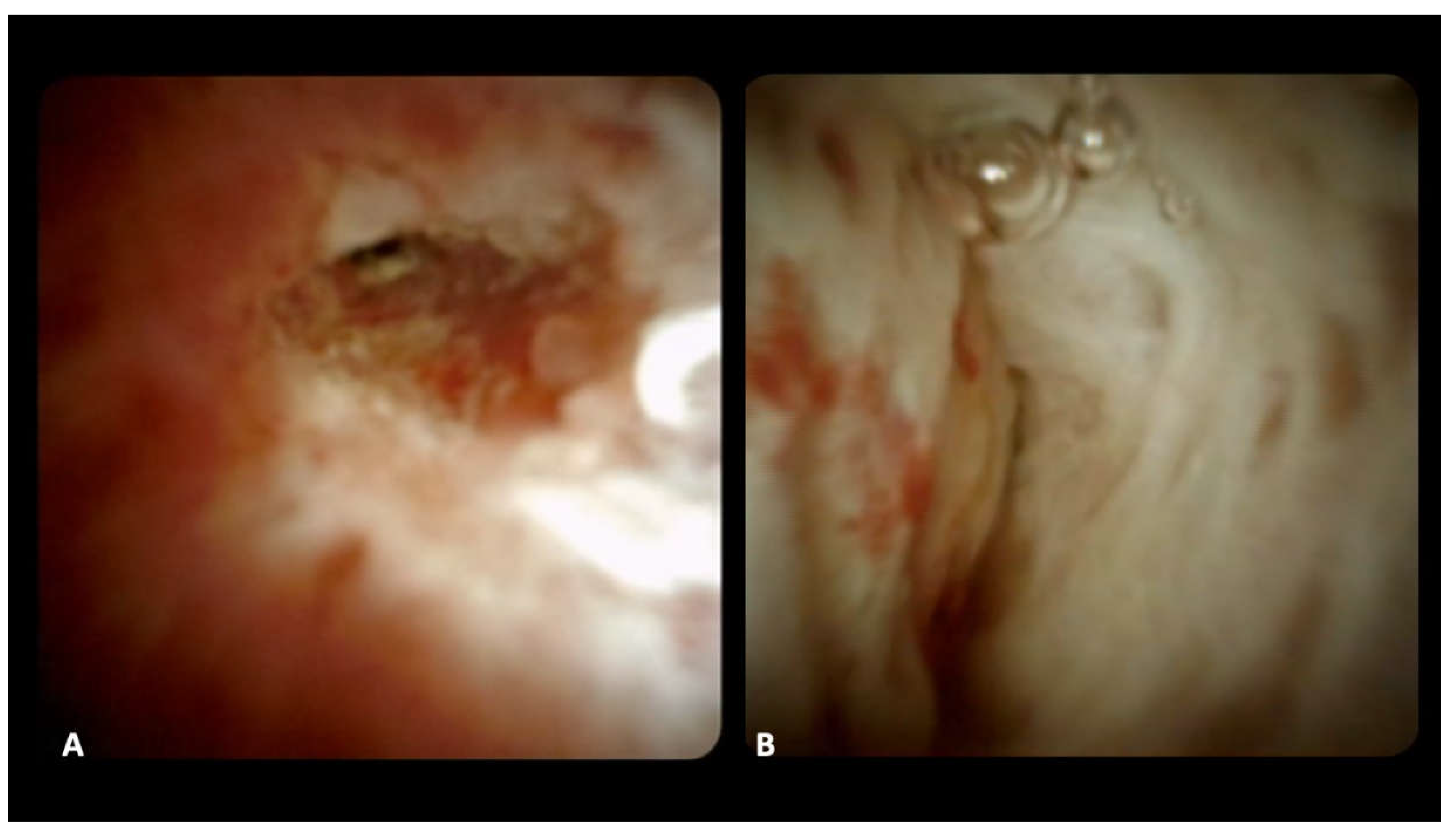 Preprints 106568 g001