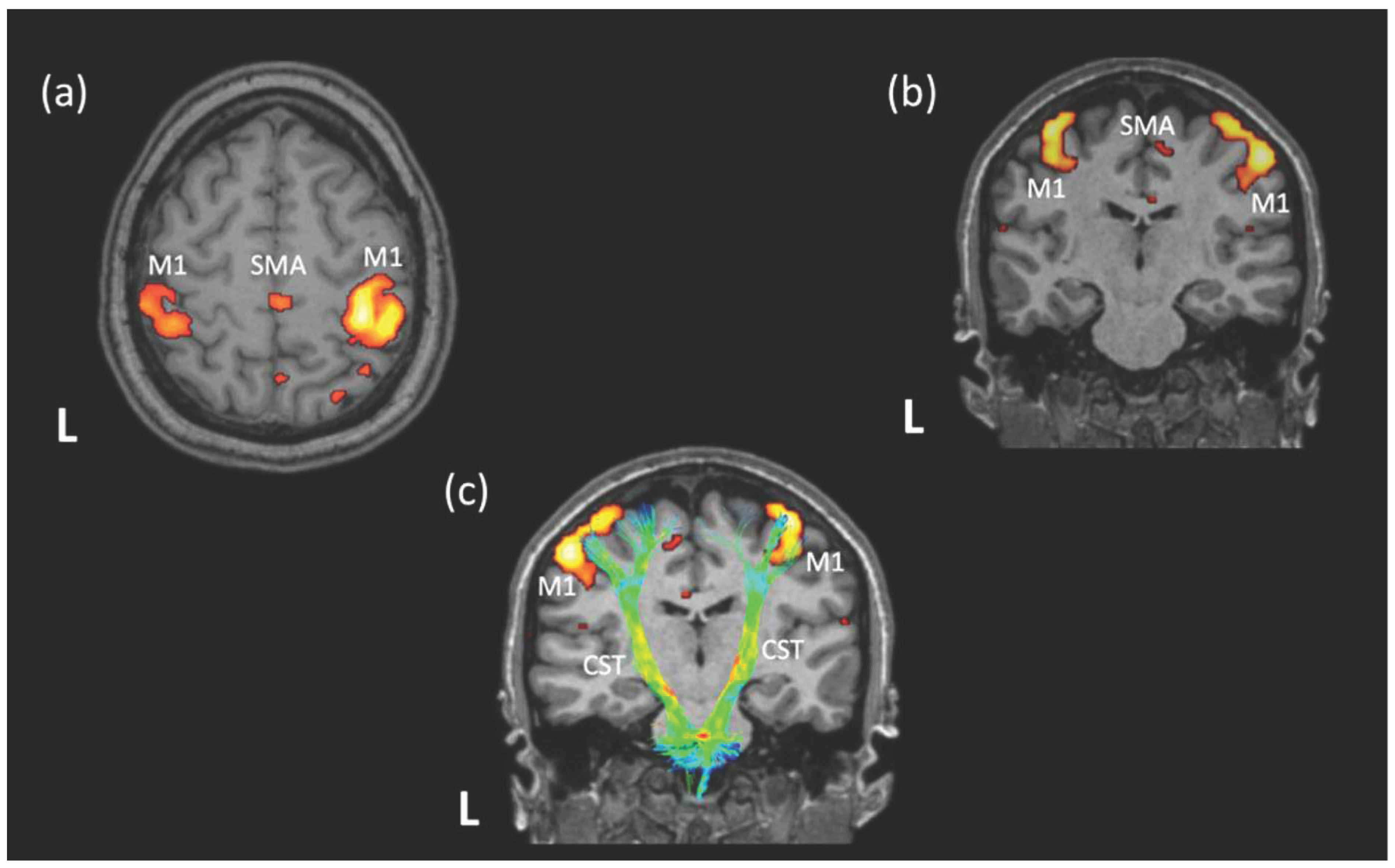 Preprints 93928 g001