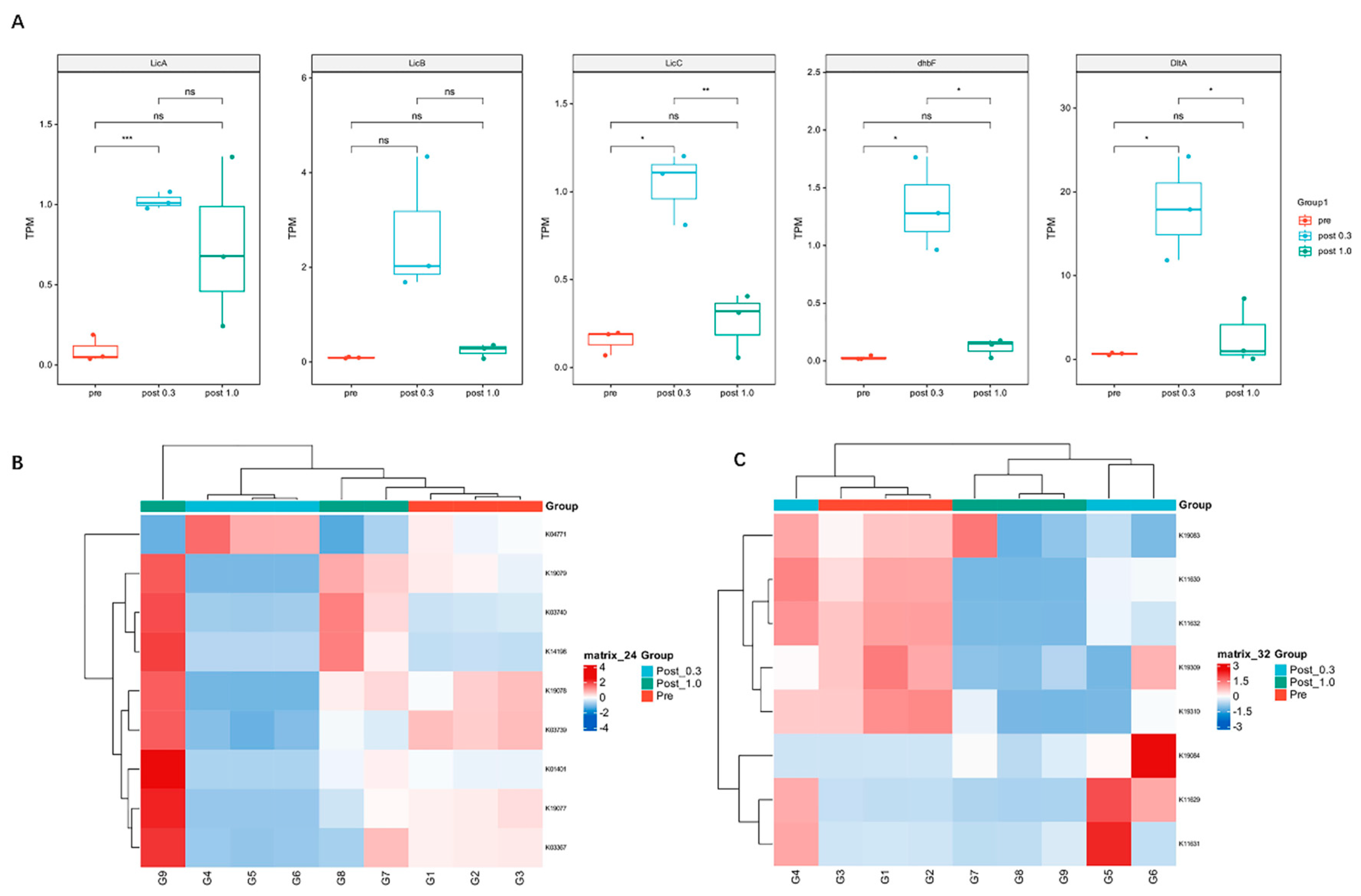 Preprints 205199 g004 Preprints 205199 g004