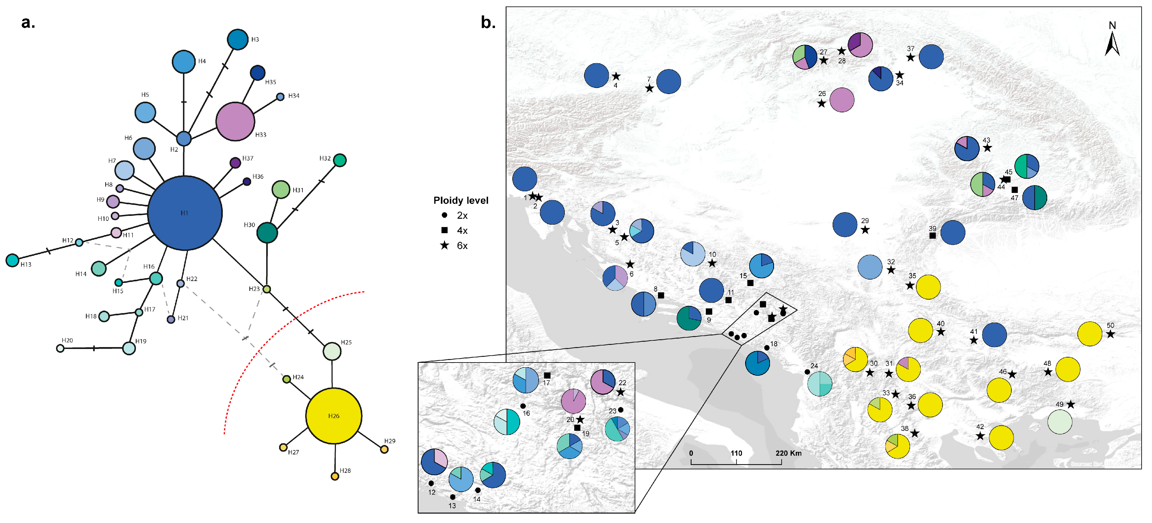 Preprints 192235 g005