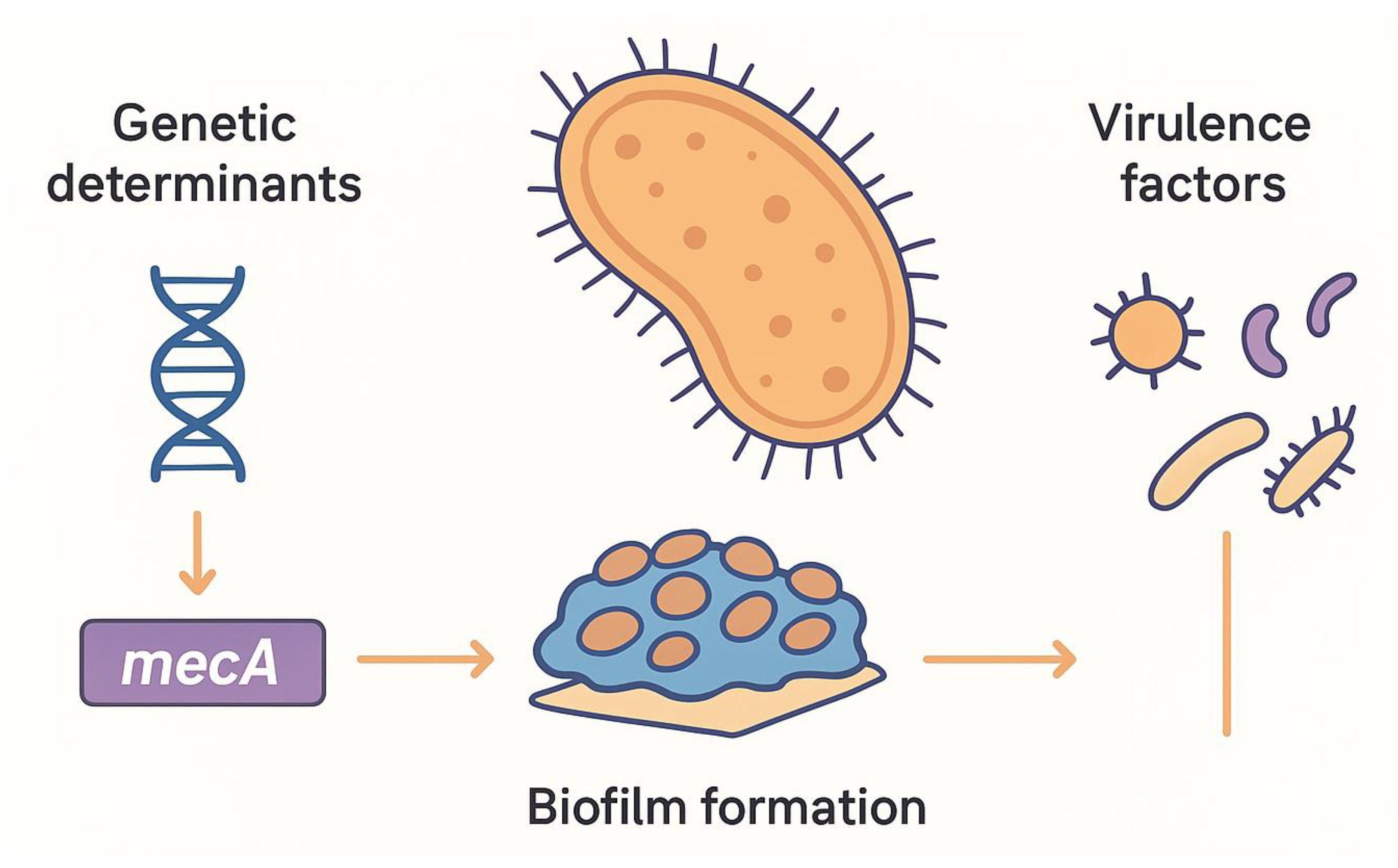 Preprints 177558 g001