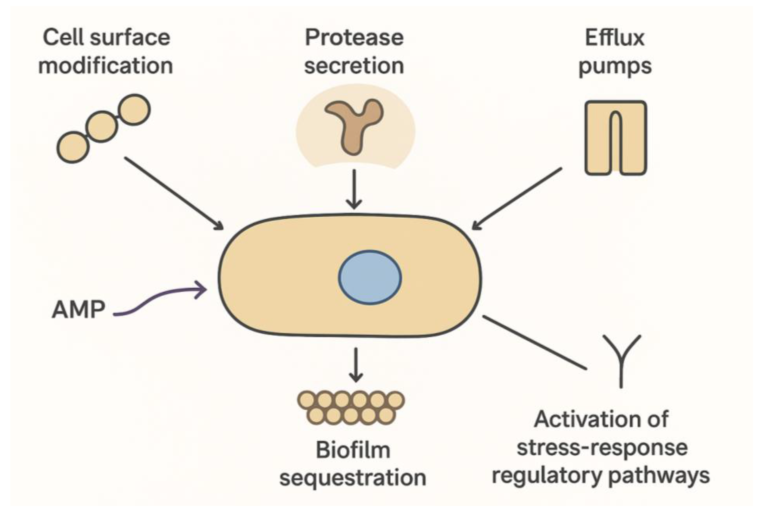 Preprints 177558 g004