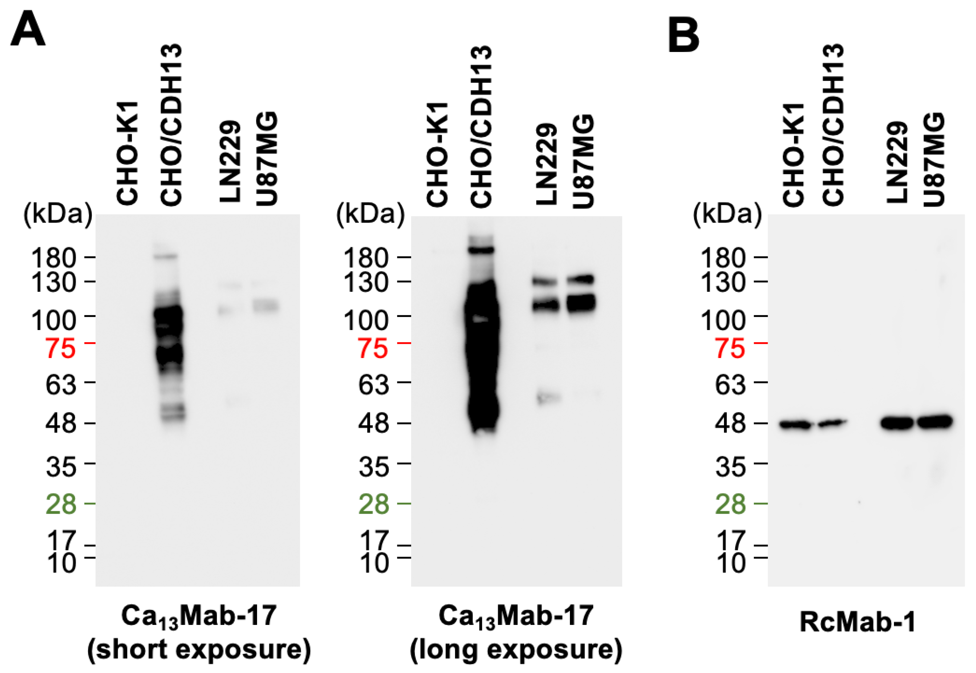 Preprints 205250 g006