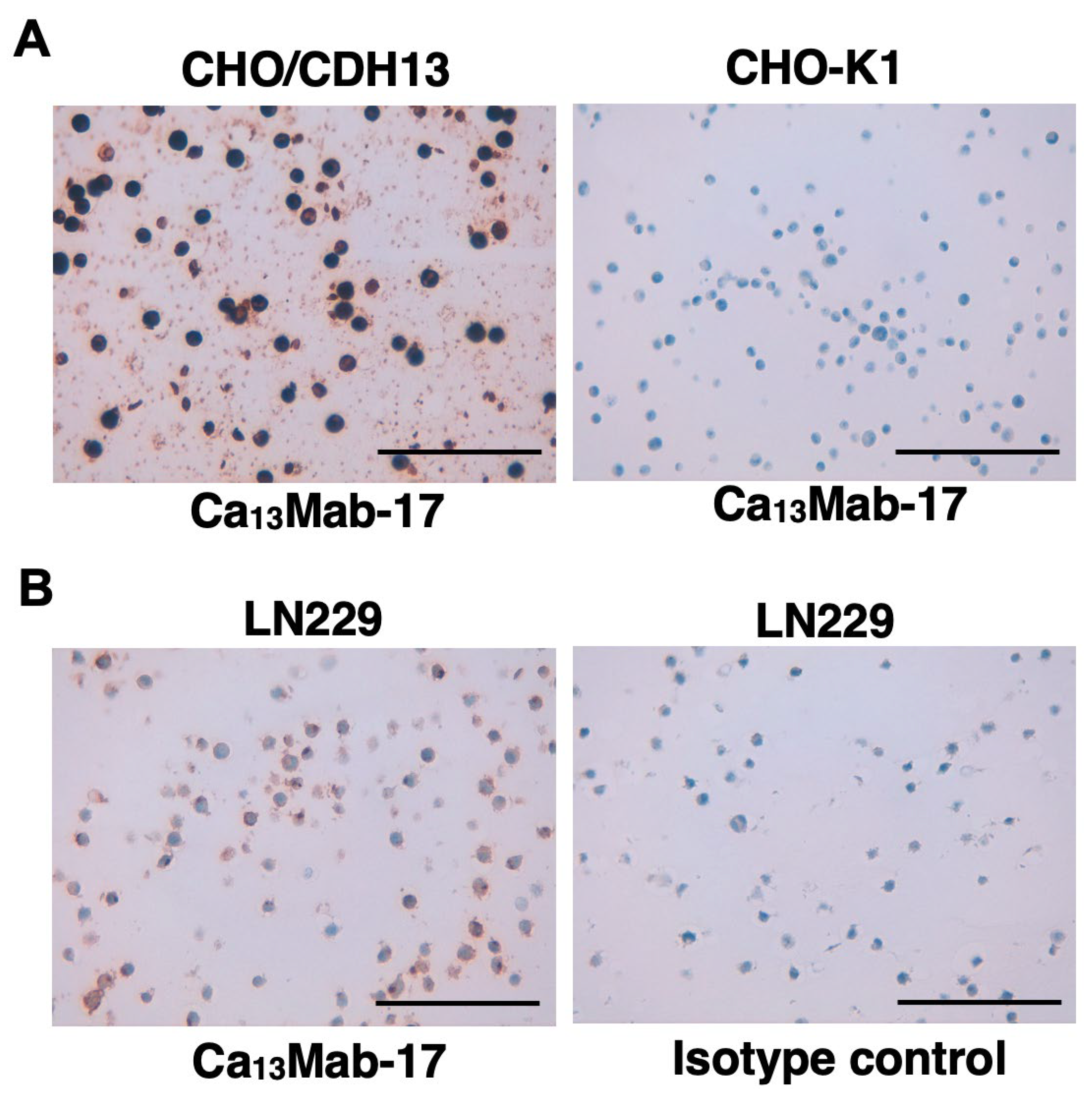 Preprints 205250 g007