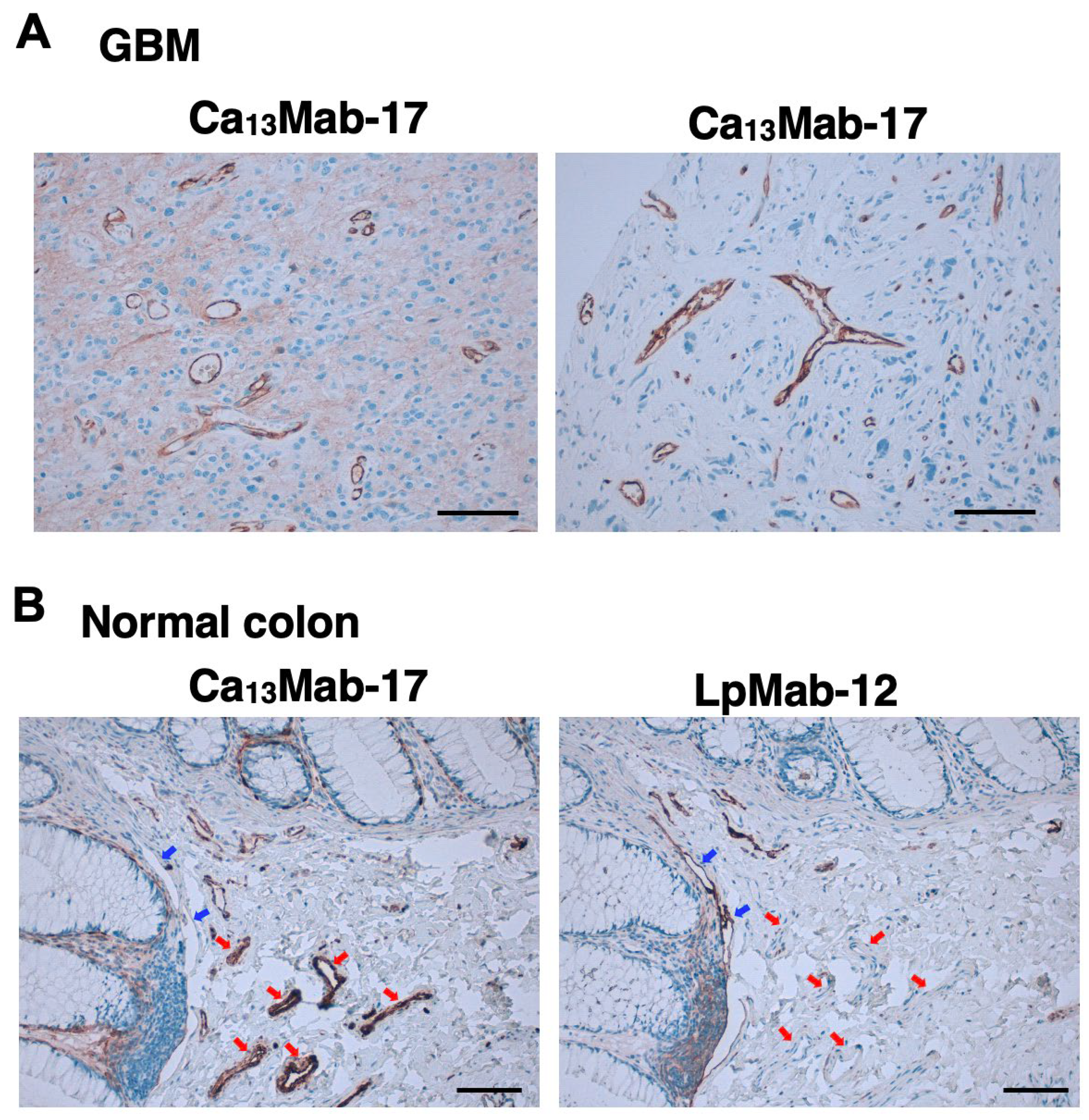 Preprints 205250 g008