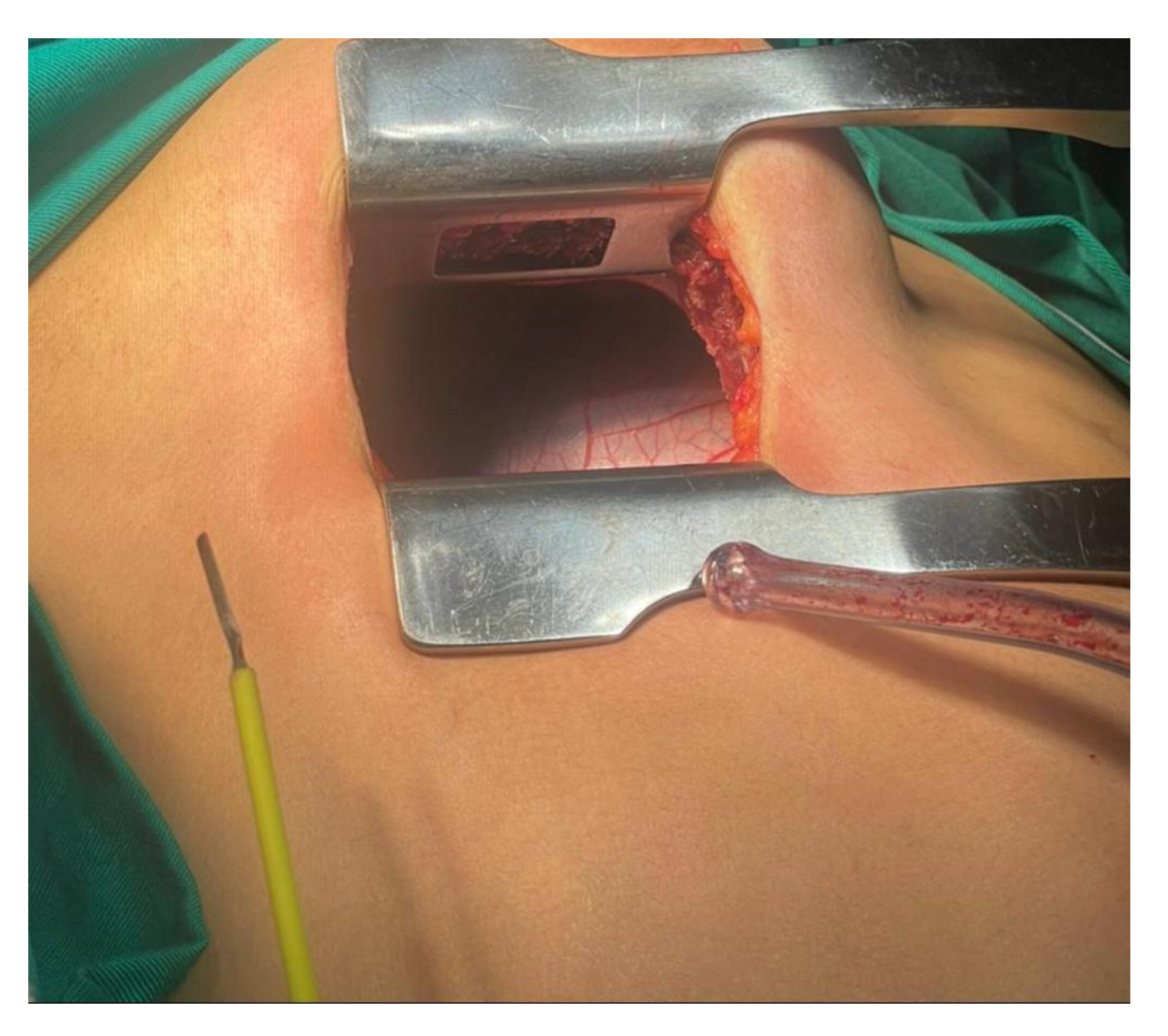 Preprints 163344 g001