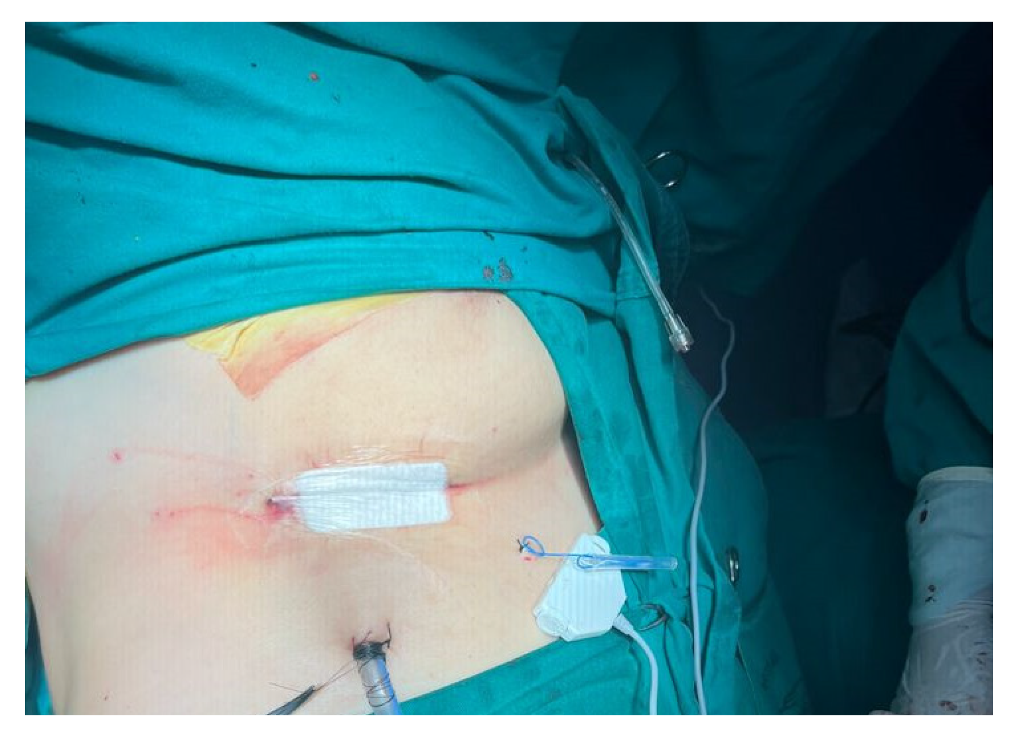 Preprints 163344 g002