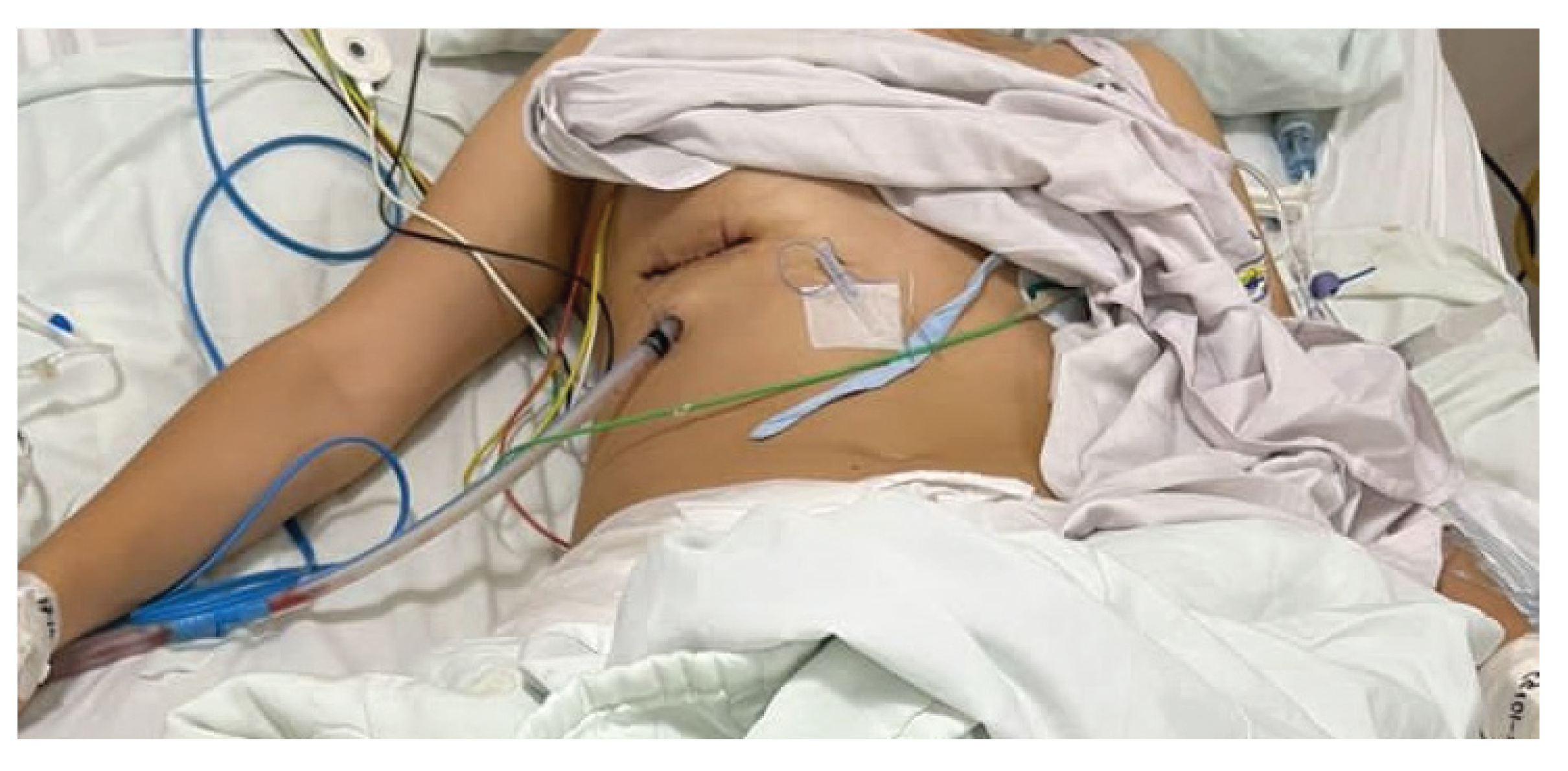 Preprints 163344 g004