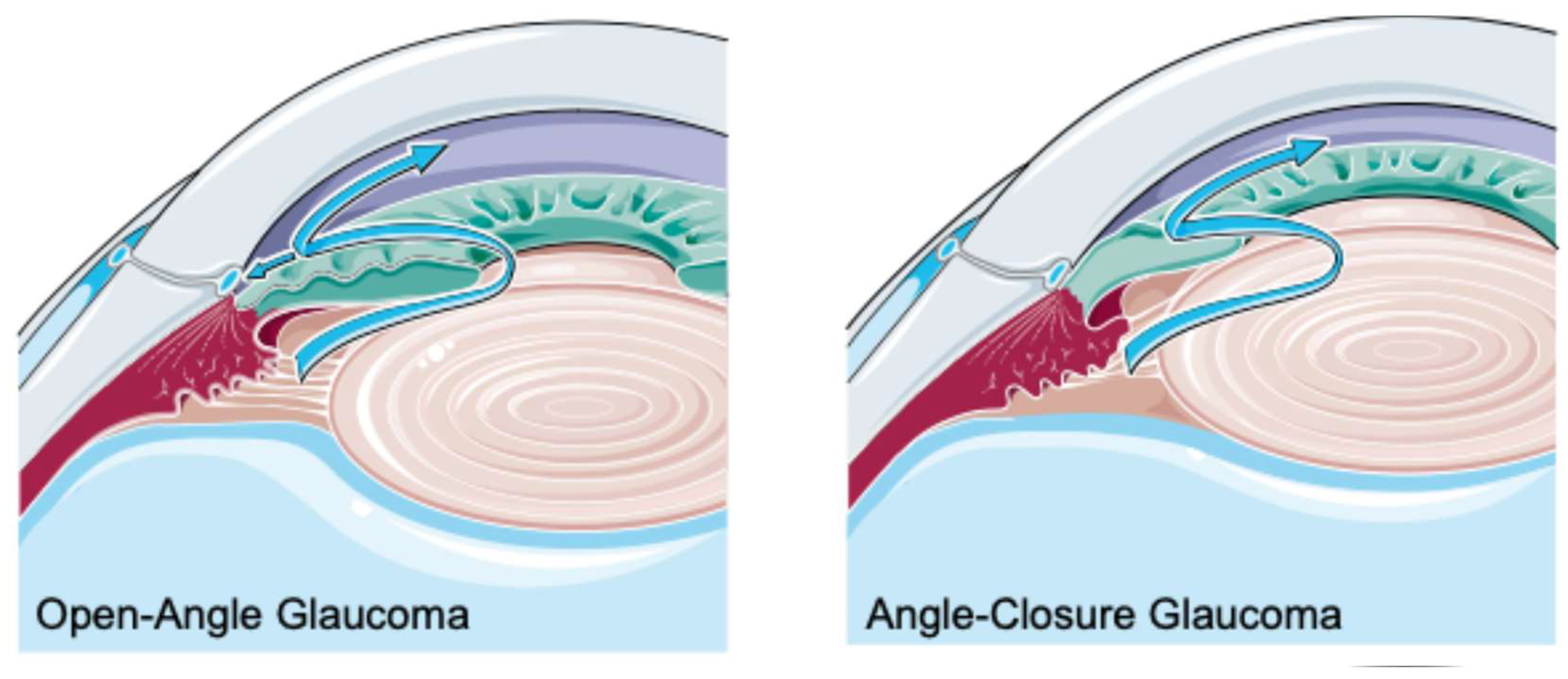 Preprints 139273 g002