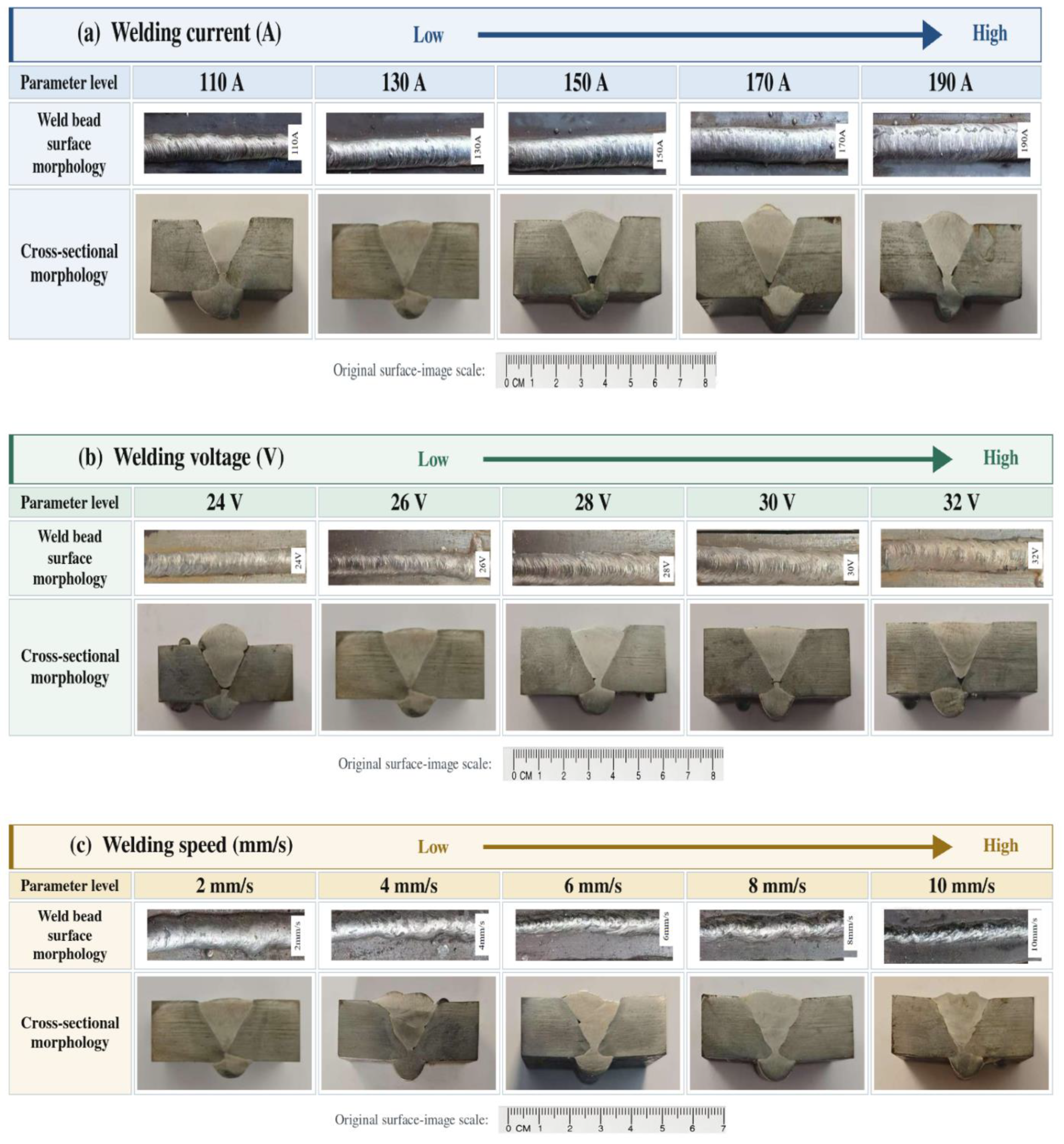 Preprints 233955 g004 Preprints 233955 g004