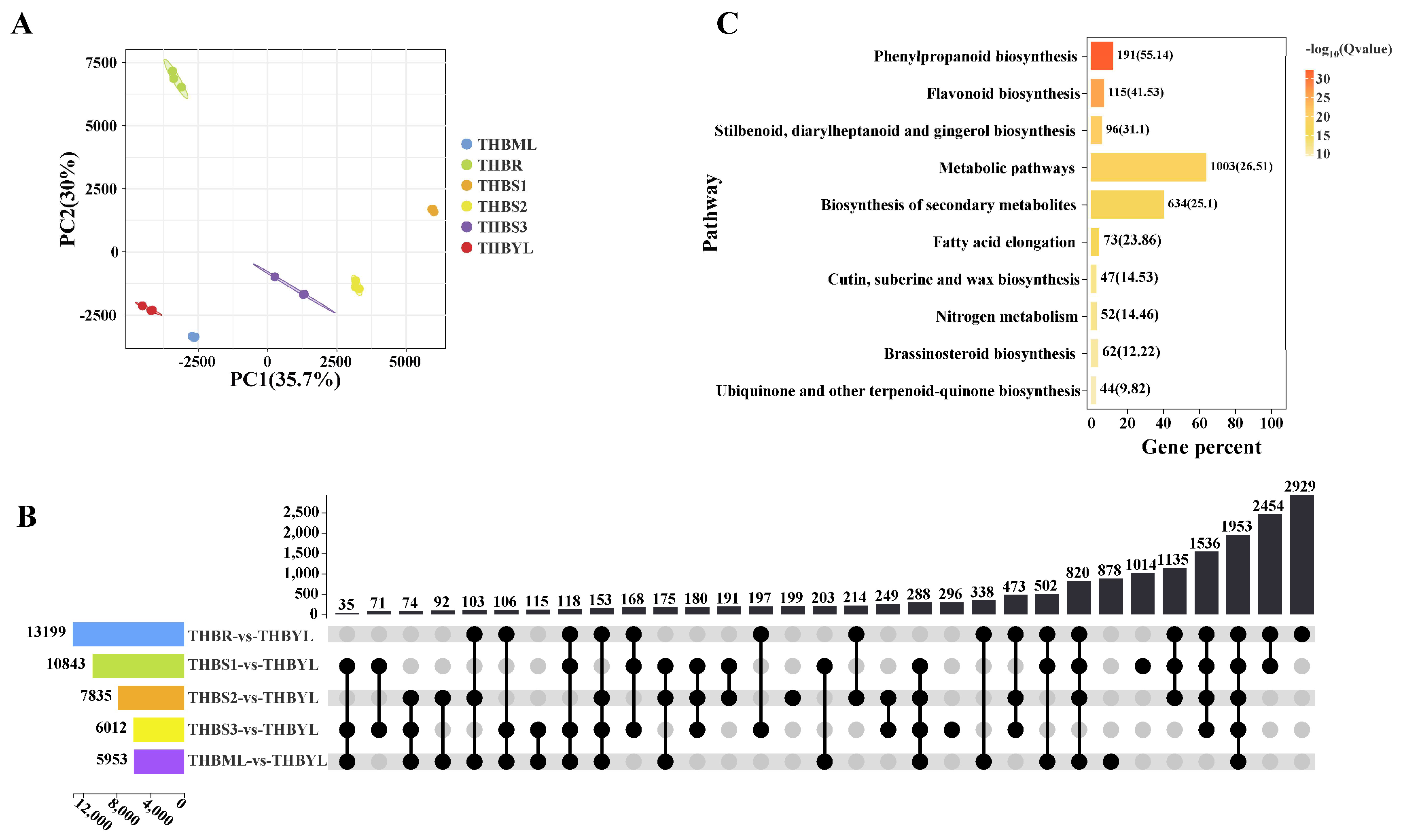 Preprints 217878 g003 Preprints 217878 g003