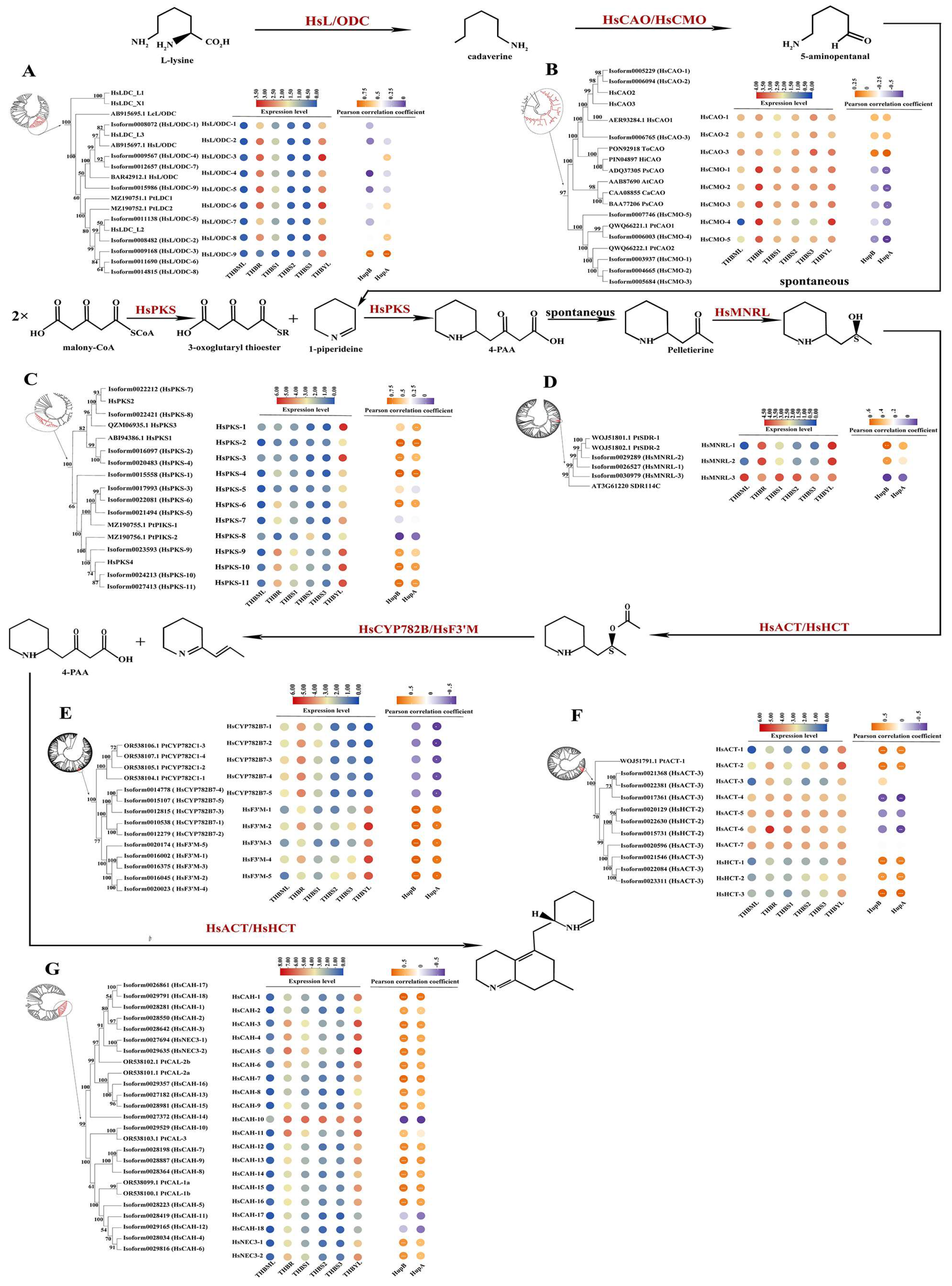 Preprints 217878 g005 Preprints 217878 g005