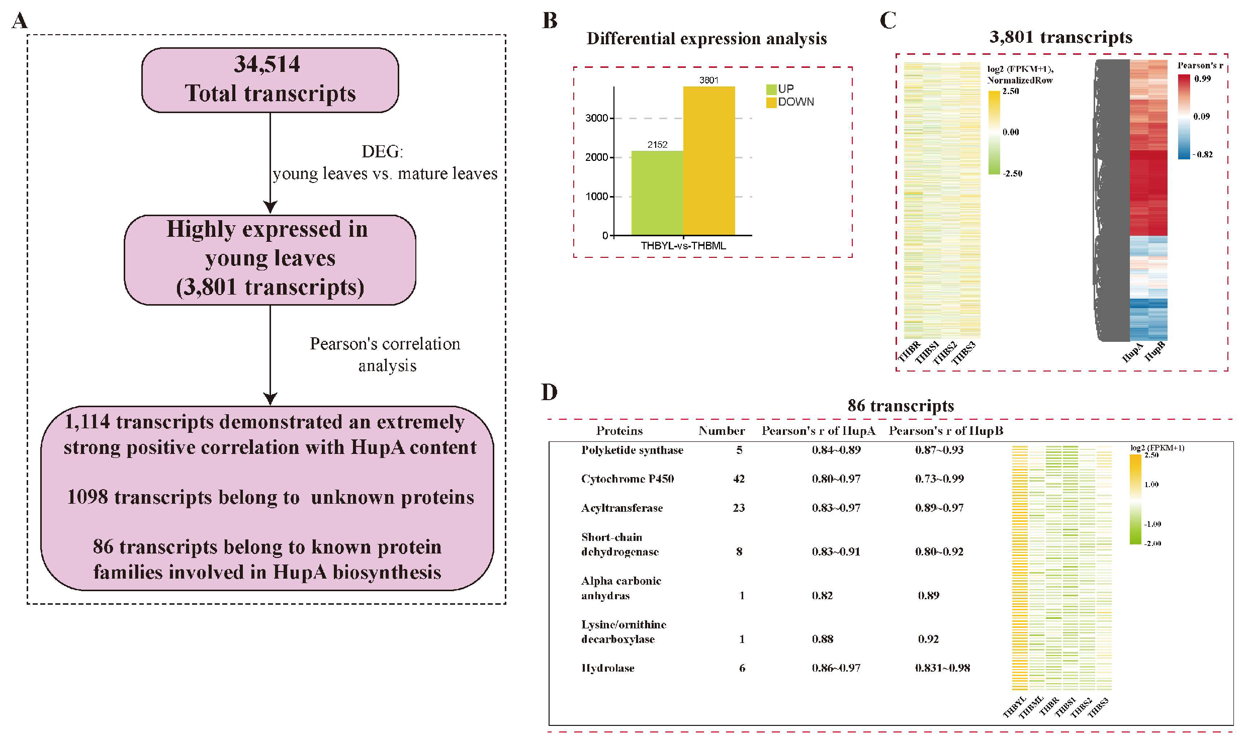 Preprints 217878 g007 Preprints 217878 g007