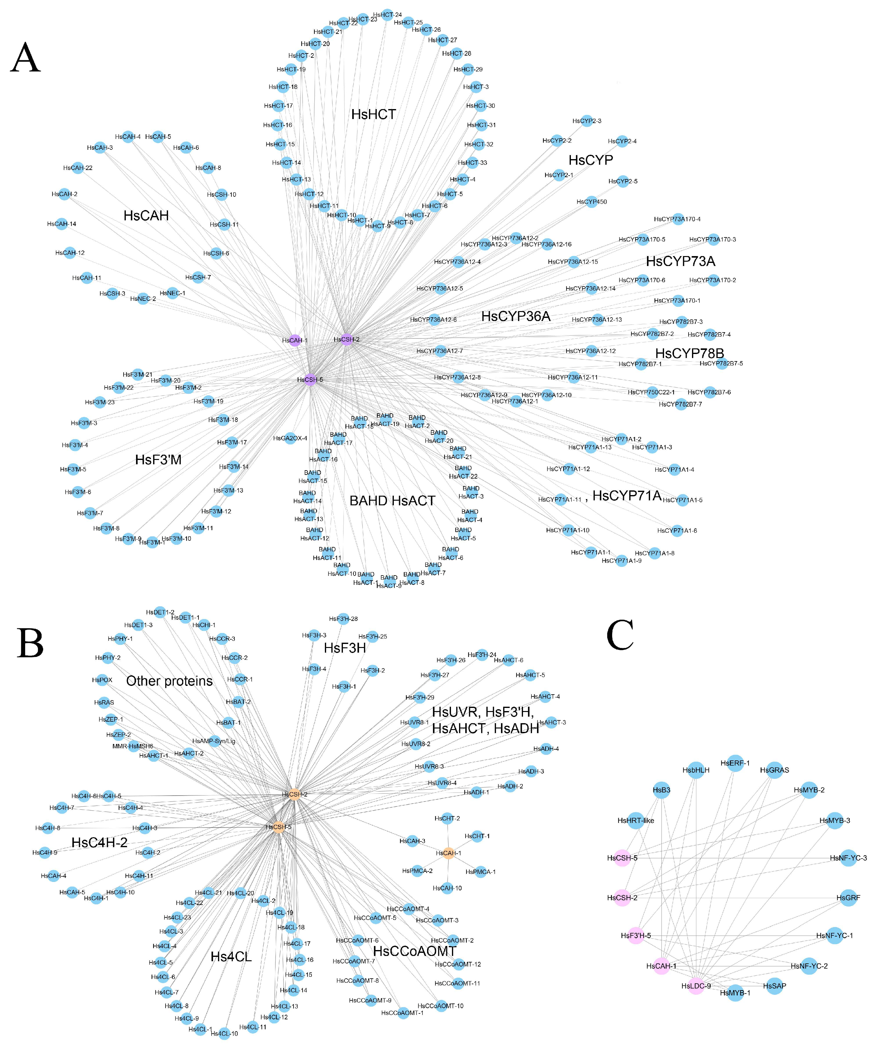 Preprints 217878 g008 Preprints 217878 g008