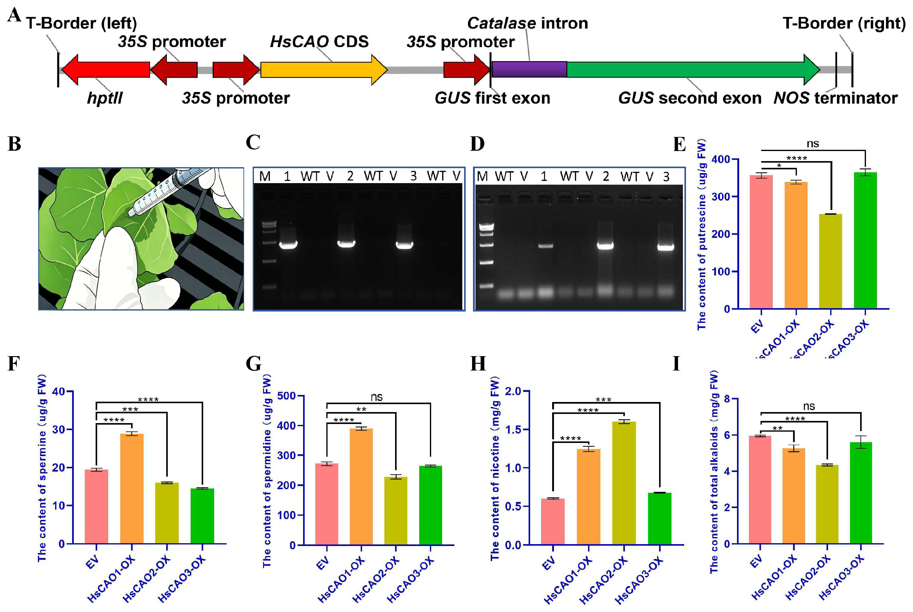 Preprints 217878 g009 Preprints 217878 g009