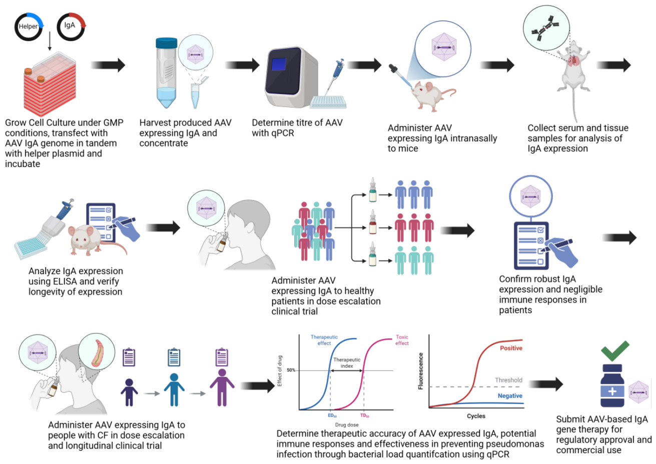 Preprints 222786 g003 Preprints 222786 g003