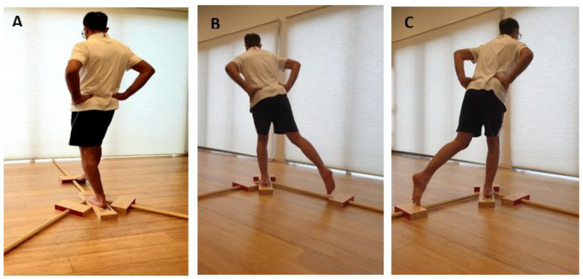 Preprints 155450 g002