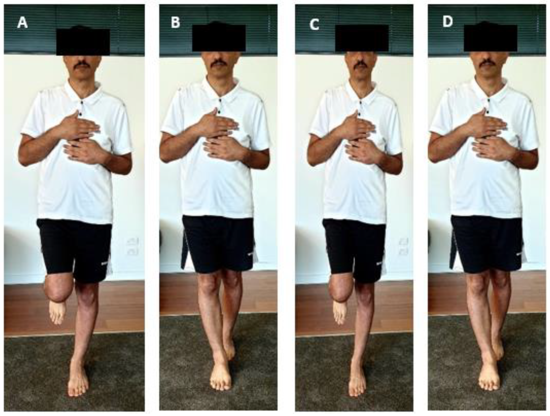 Preprints 155450 g003