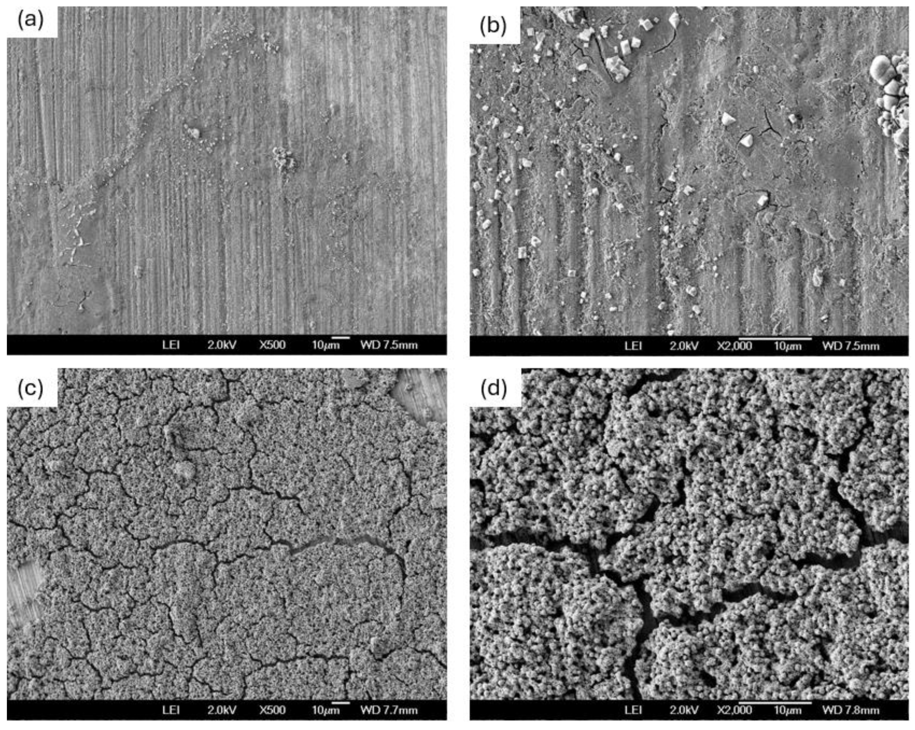 Preprints 173890 g007