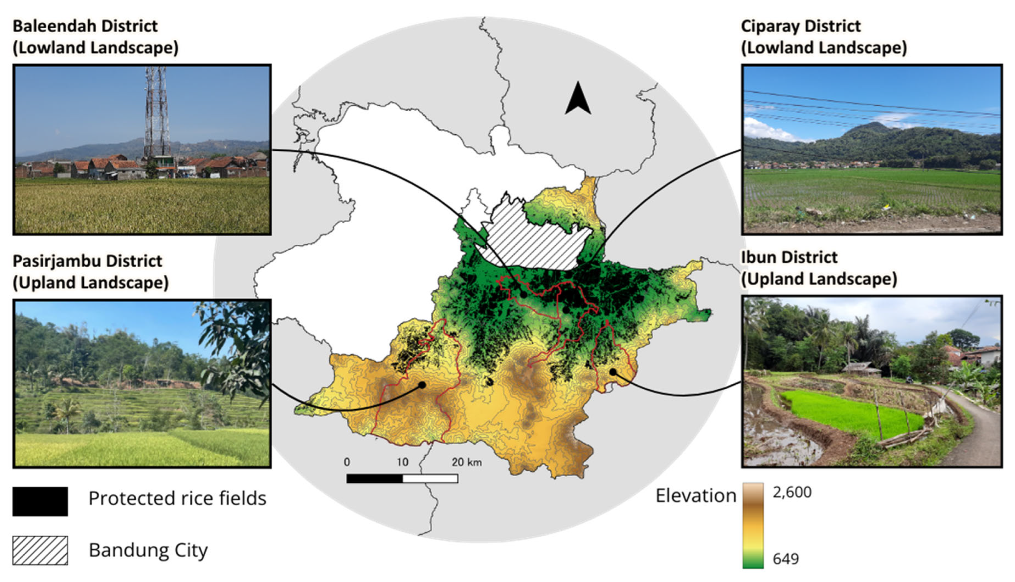 Preprints 201226 g001 Preprints 201226 g001