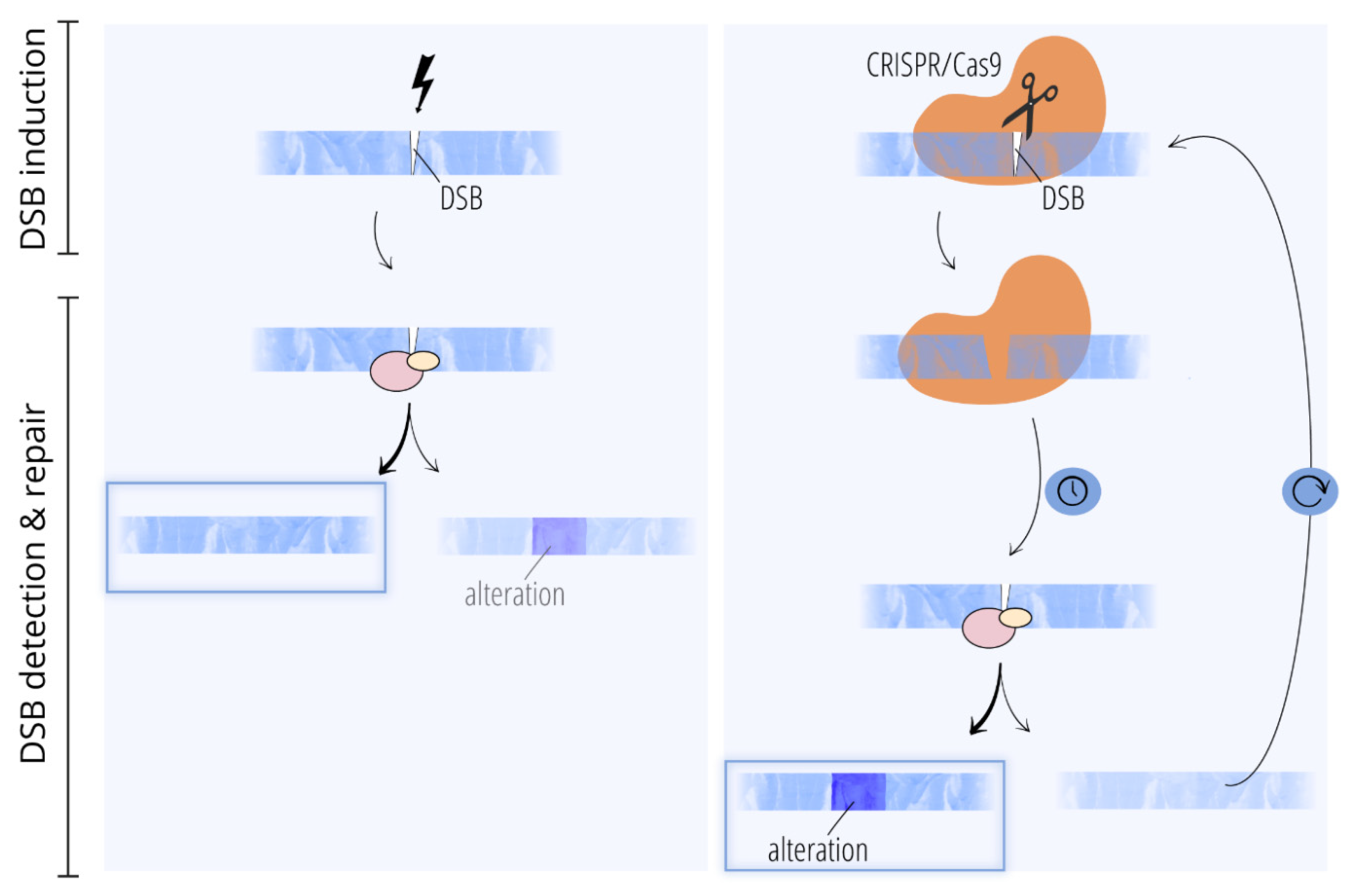 Preprints 183832 g001