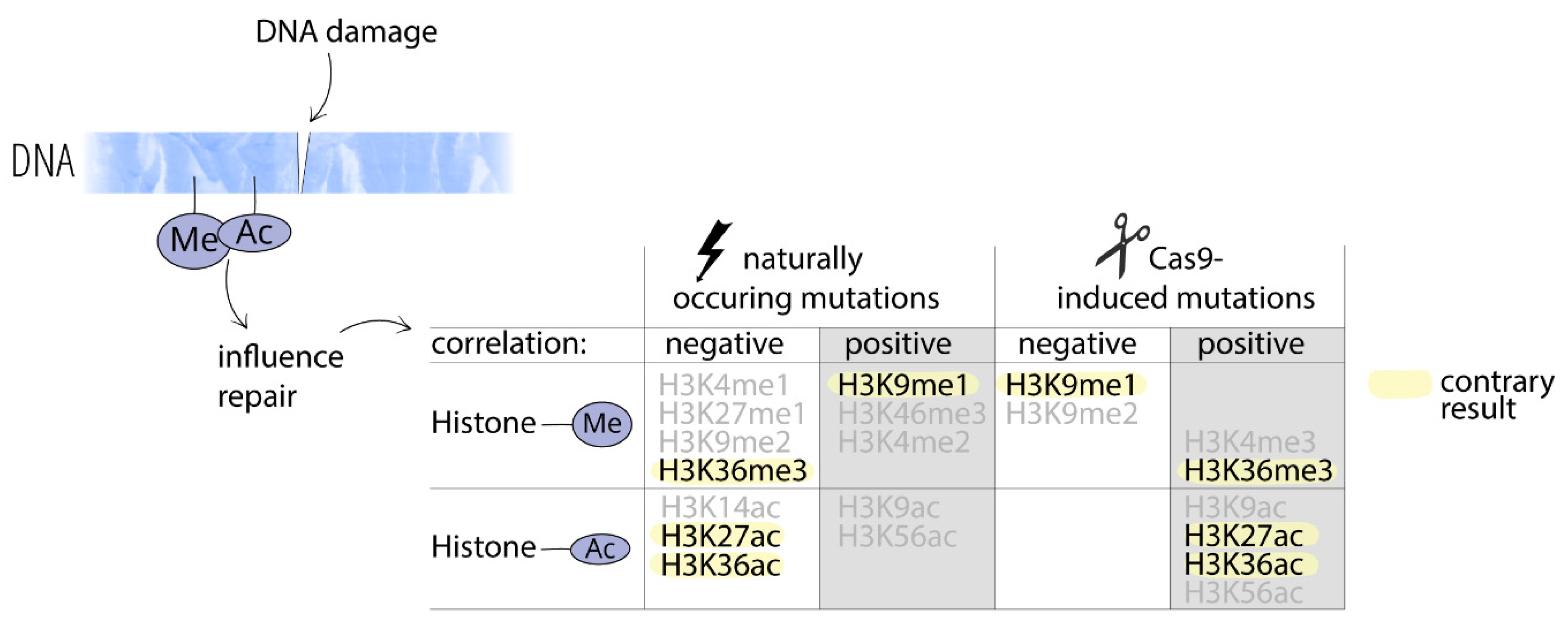 Preprints 183832 g002
