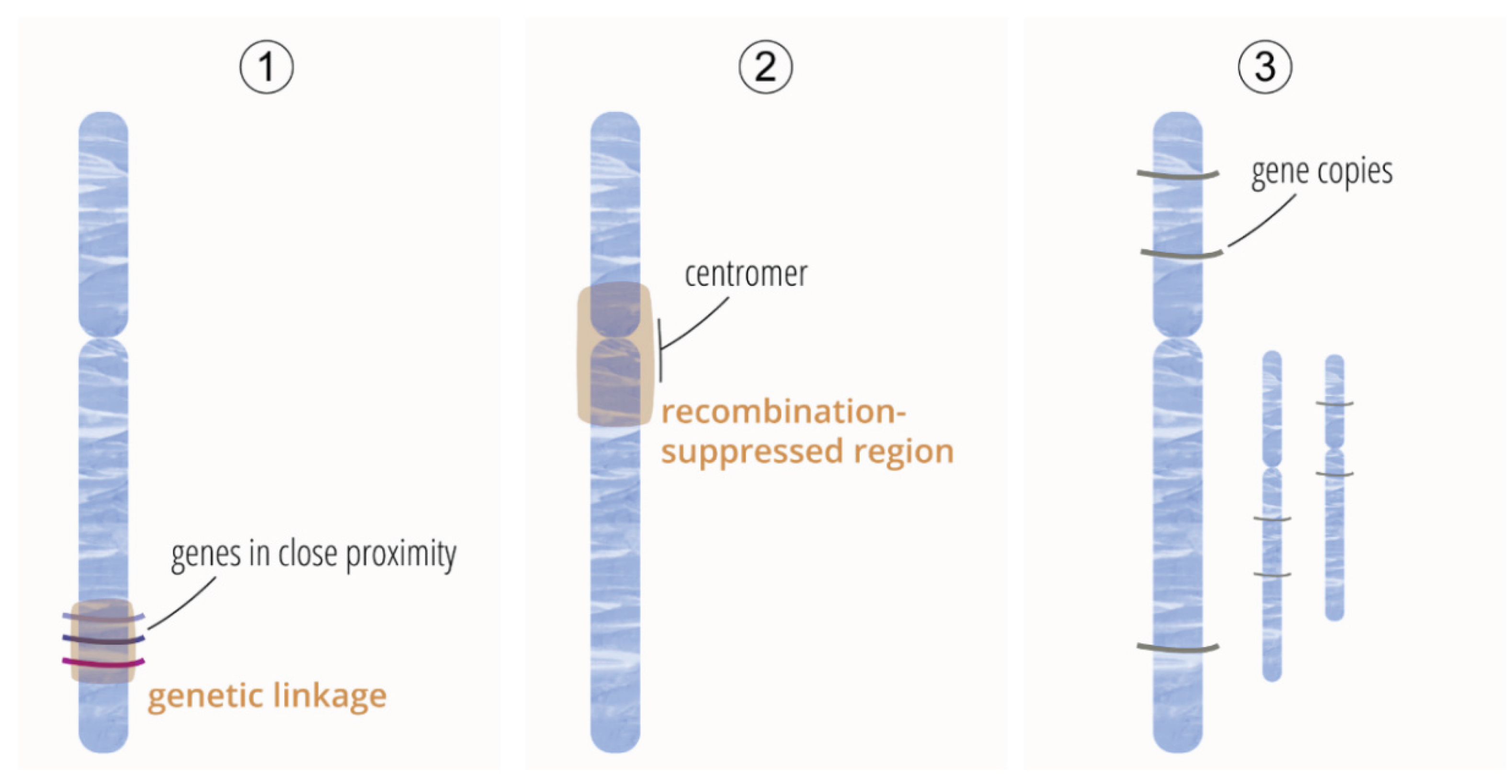 Preprints 183832 g003
