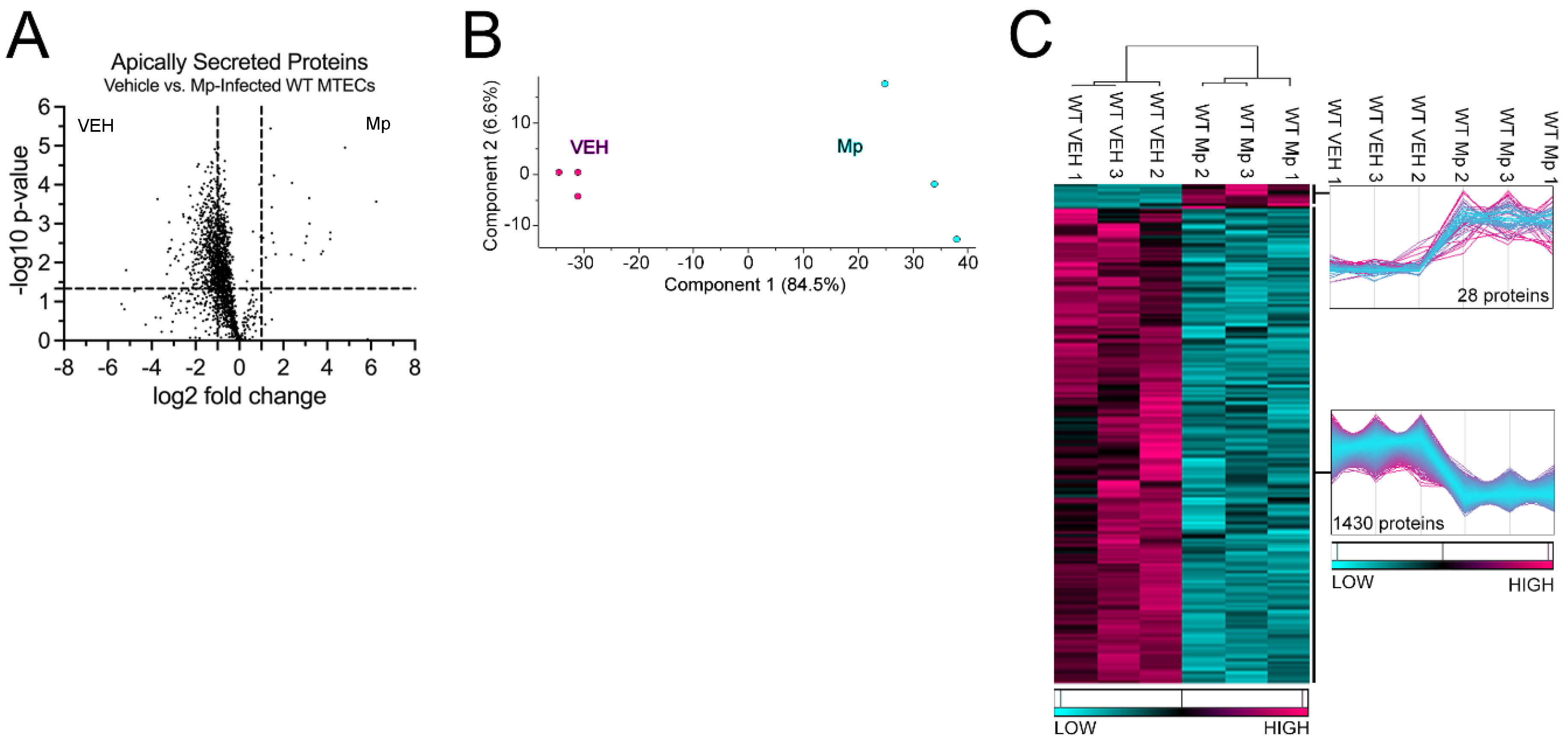Preprints 75336 g001