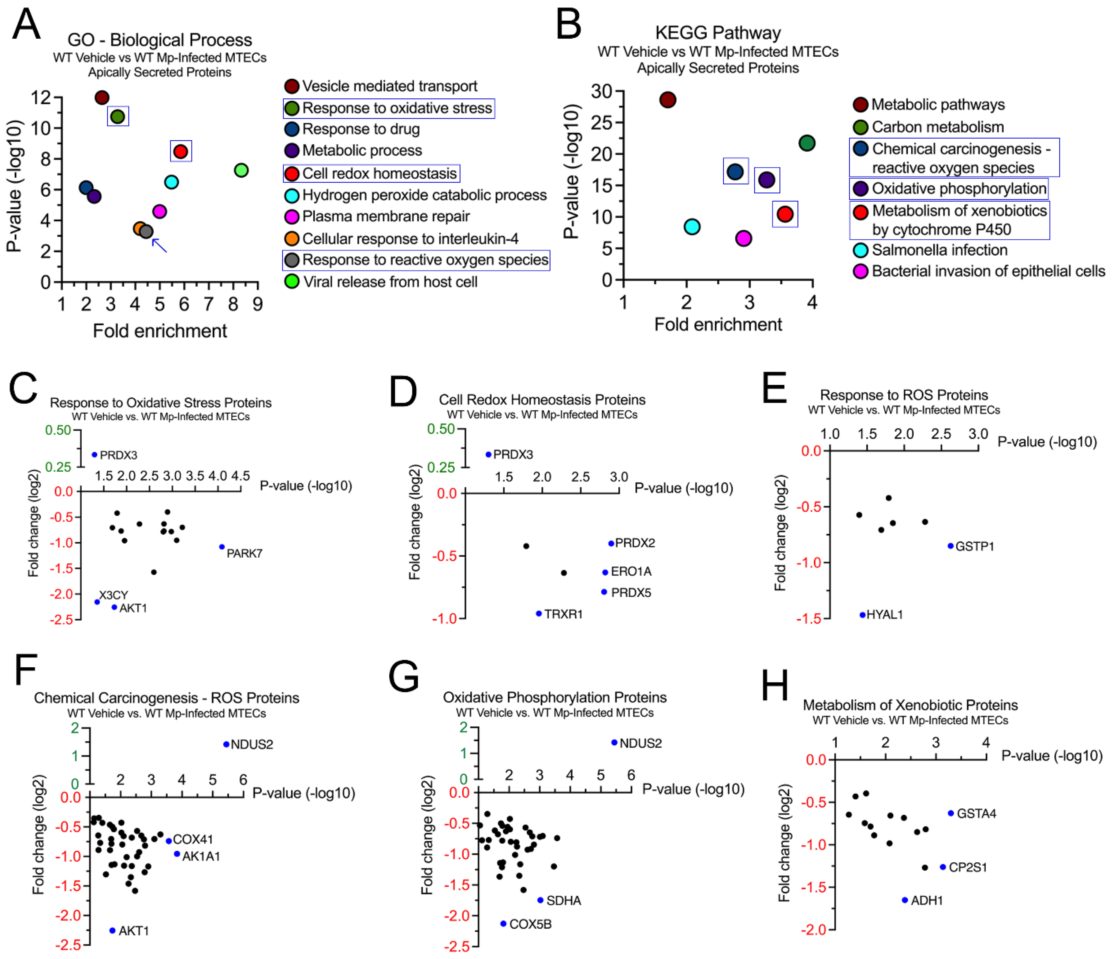 Preprints 75336 g002