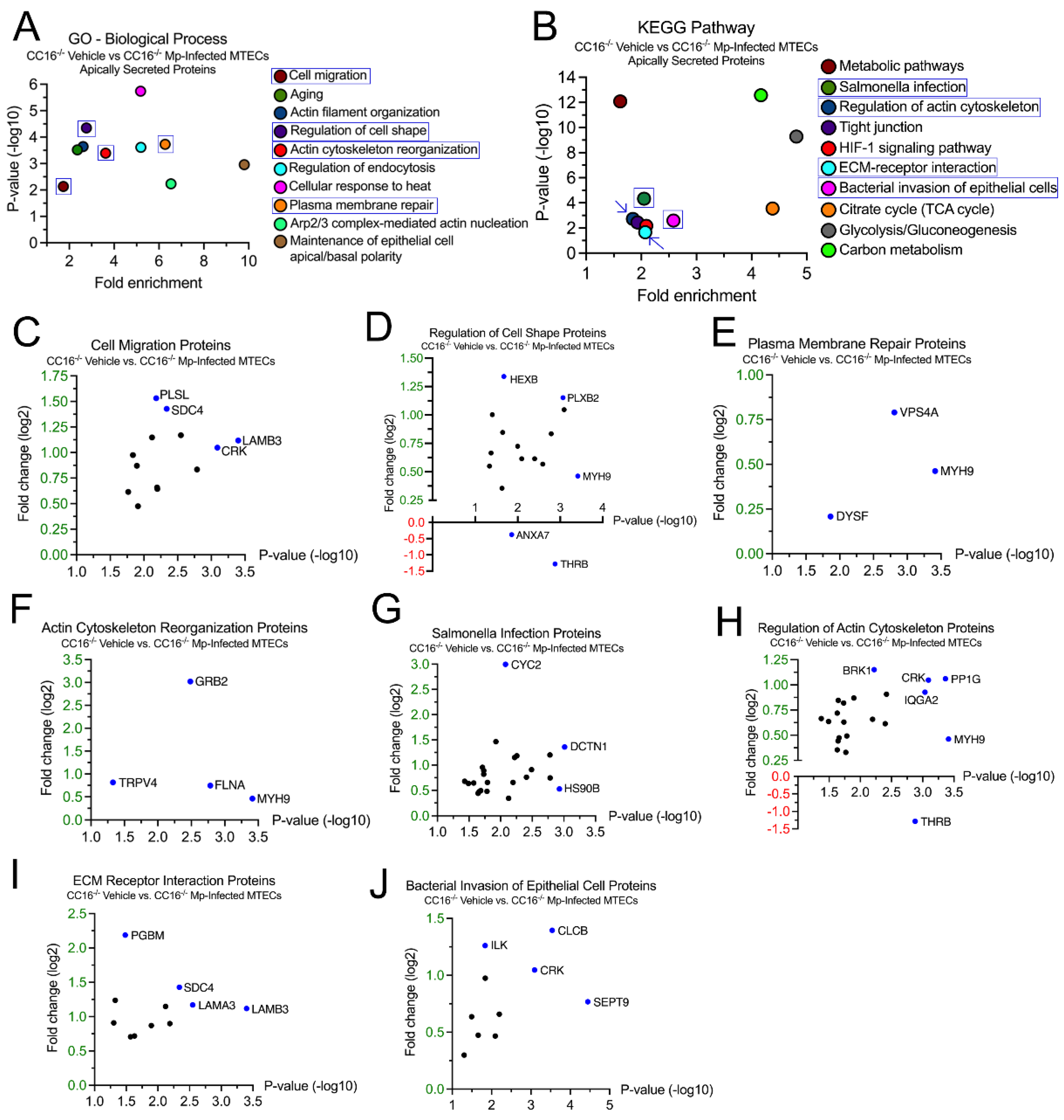 Preprints 75336 g004