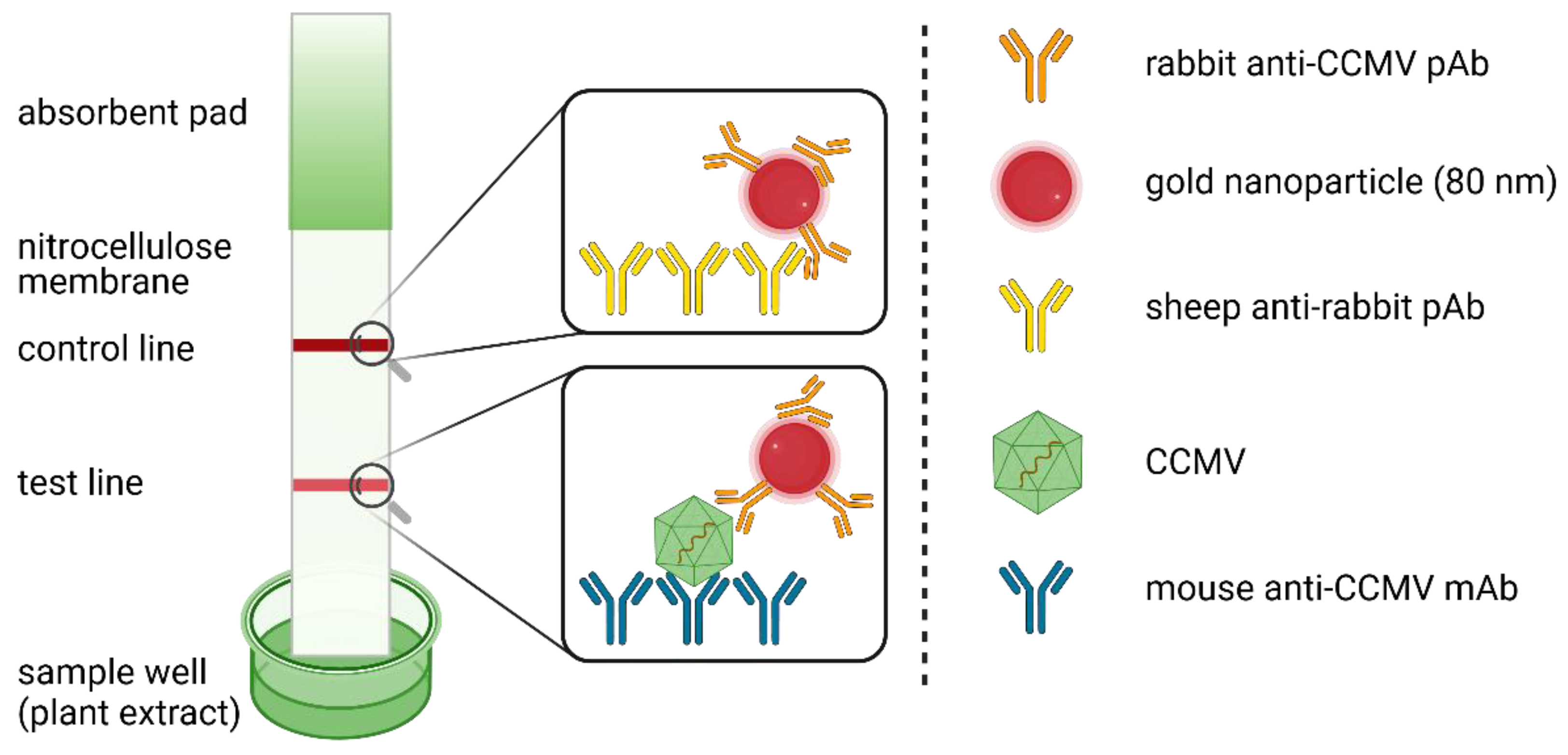 Preprints 190014 g001