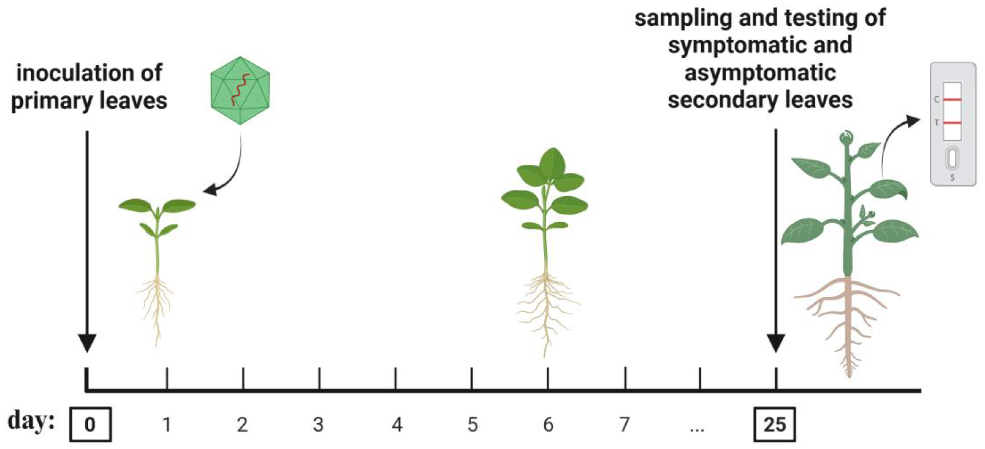 Preprints 190014 g005